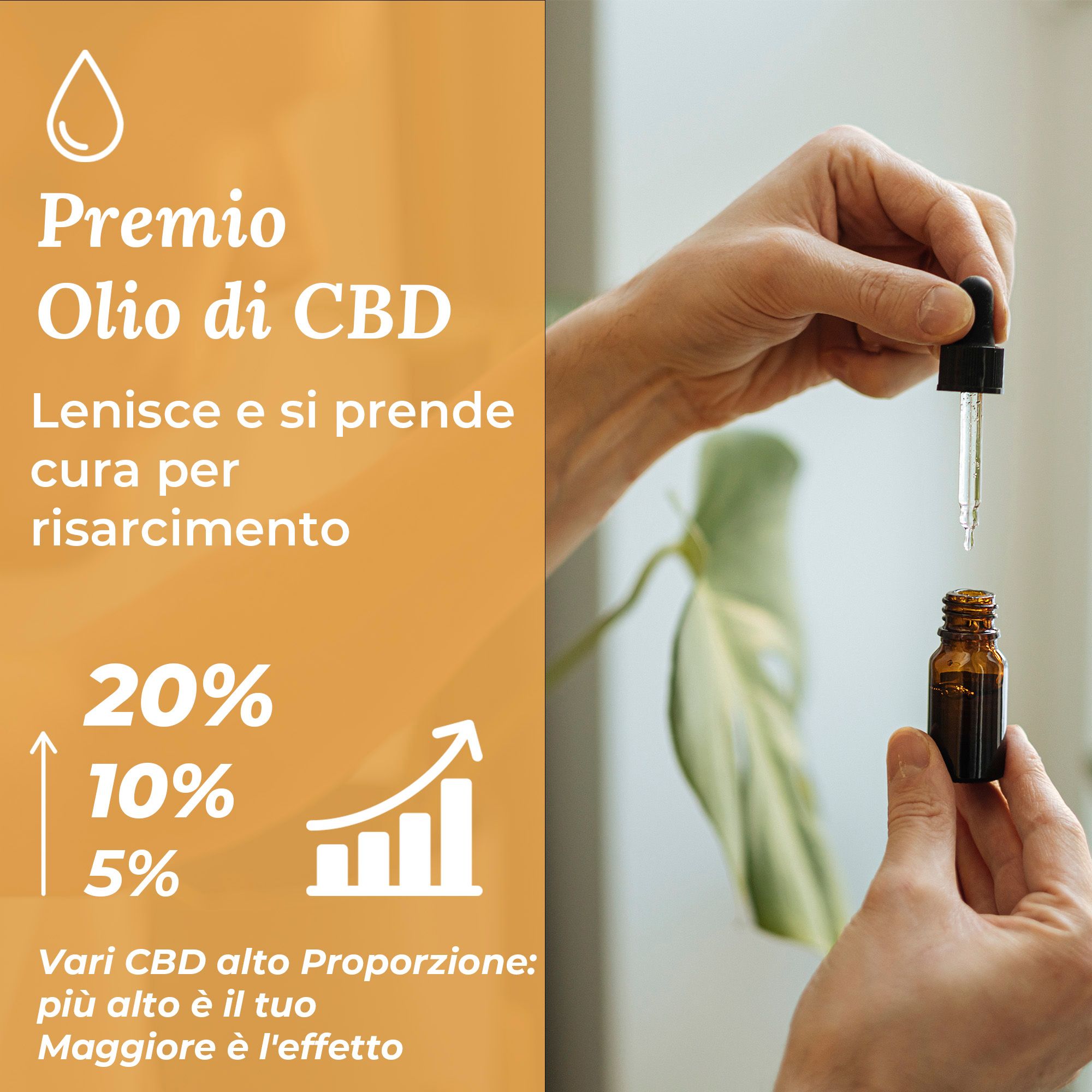 Mani che tengono una piccola bottiglia marrone e una pipetta. Scritta CBD. Sfondo: pianta.