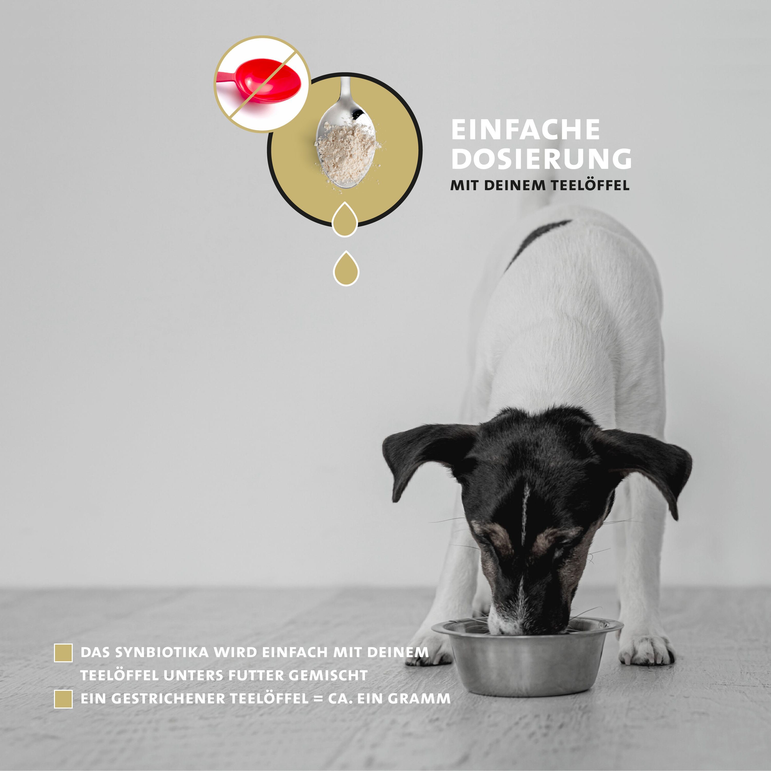 Hund frisst aus einer Schüssel. Text: Einfache Dosierung mit deinem Teelöffel. Ein gestrichener Teelöffel = ca. ein Gramm.
