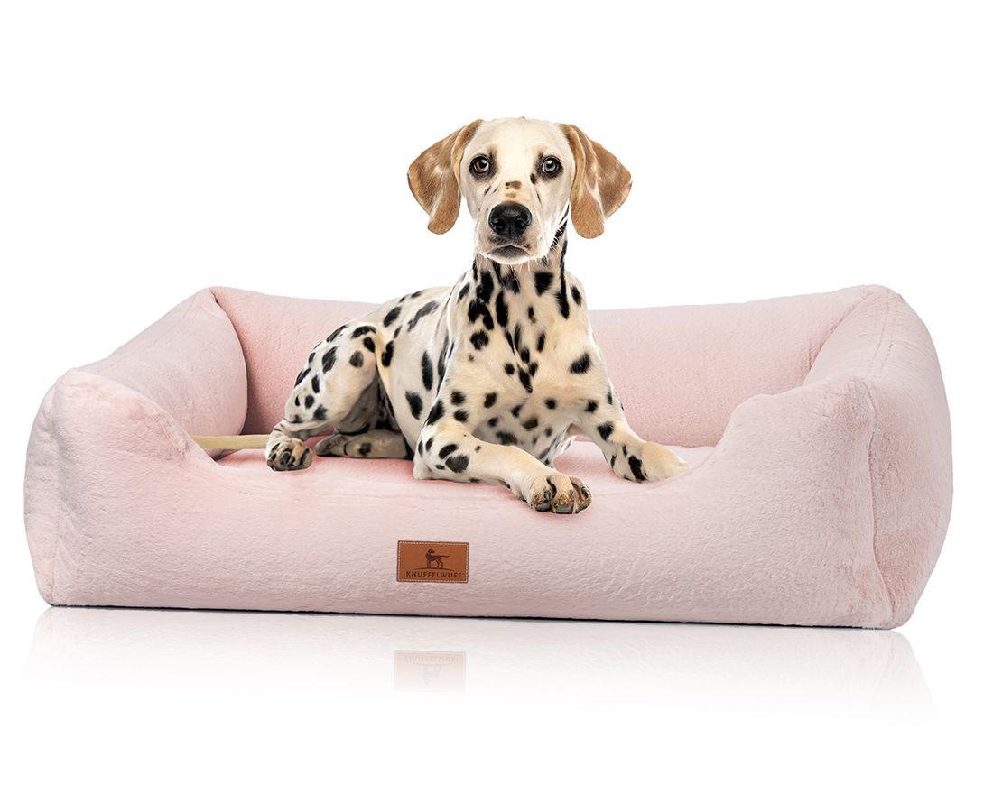 Knuffelwuff orthopädisches Hundebett Schnuffelupagus