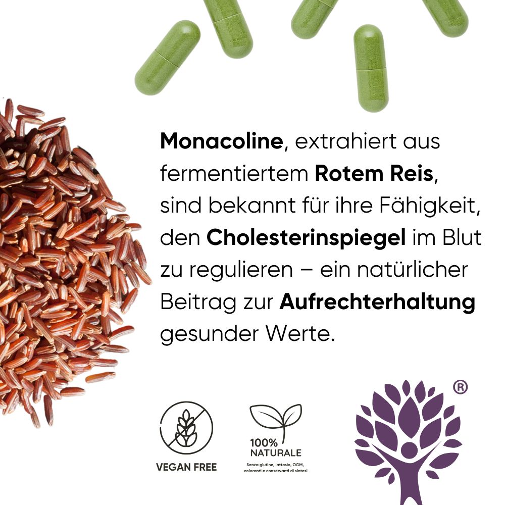 Roter Reis Extrakt mit Monacolin K zur Cholesterinregulierung, vegan.
