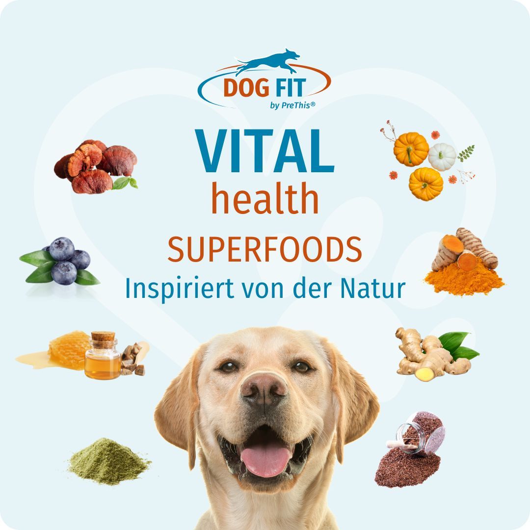 Hund mit offenem Maul. Oben: DOG FIT by PreThis® VITAL health SUPERFOODS. Verschiedene Zutaten und Früchte.
