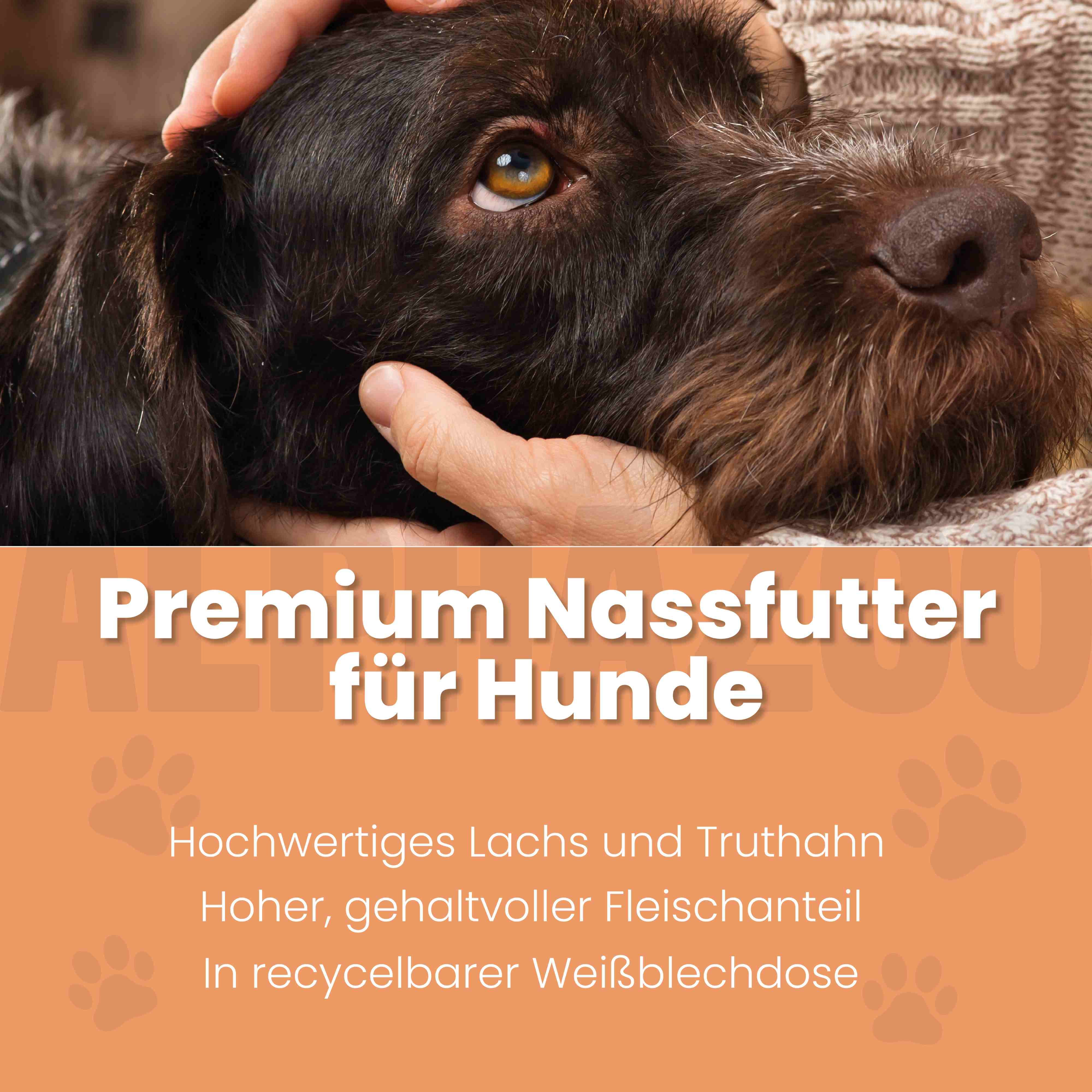alphazoo Lachs + Truthahn Nassfutter für Adult Hunde