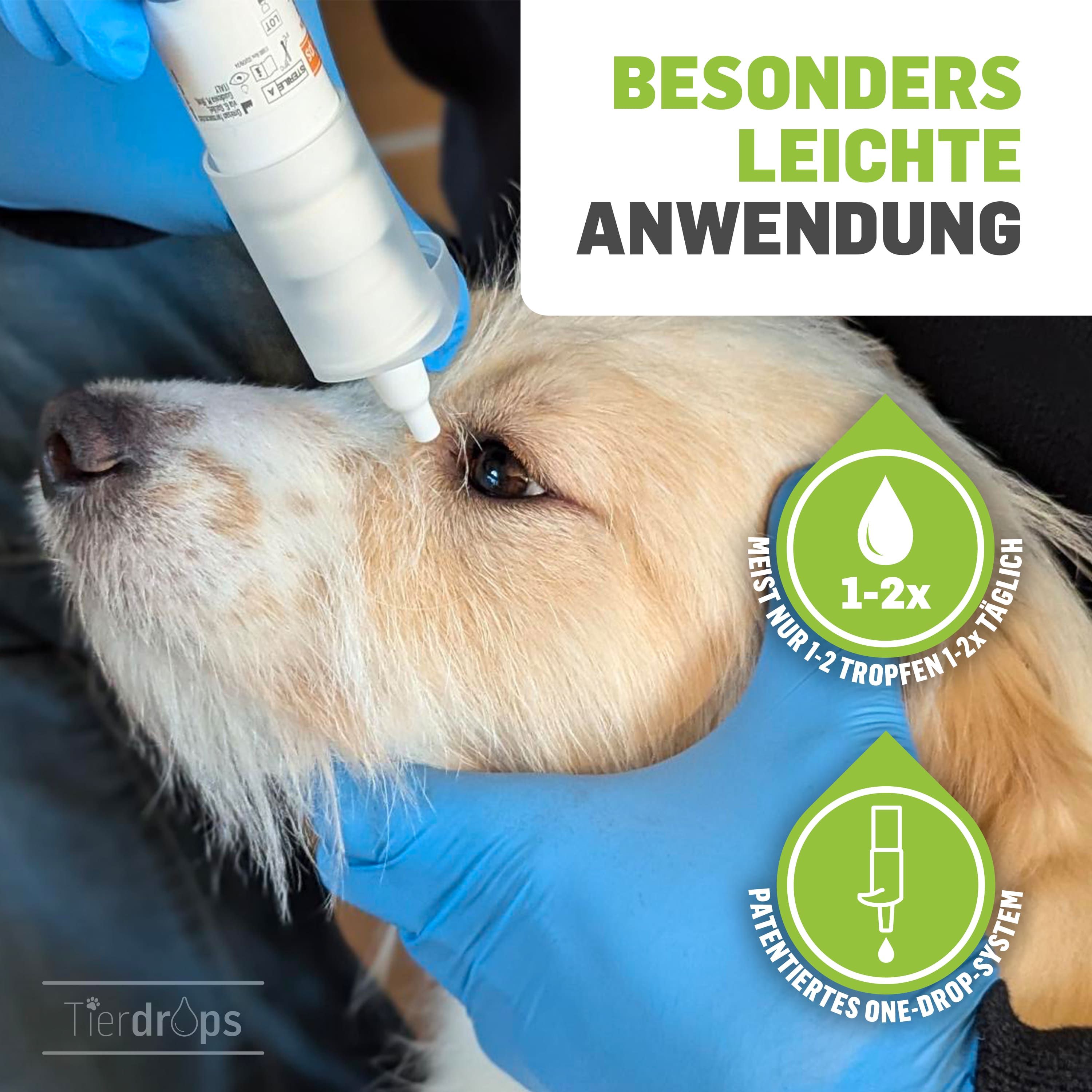 Anwendung der Augentropfen an einem Hund. Blaue Handschuhe. Text: Besonders leichte Anwendung. 1-2 Tropfen täglich.