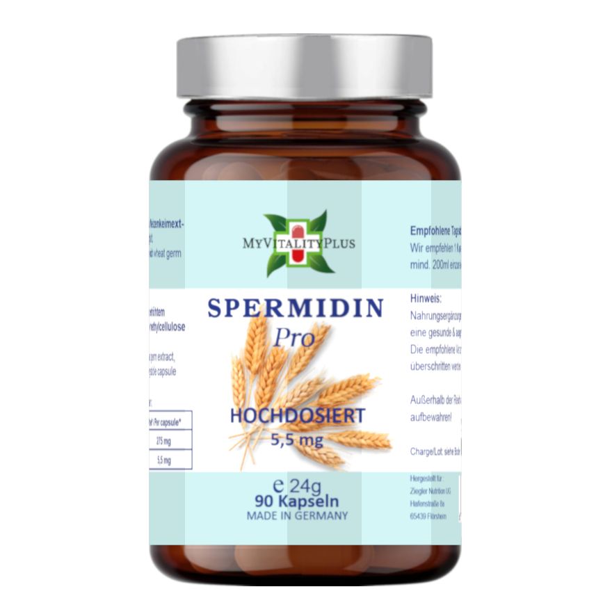 Braune Glasflasche mit silbernem Deckel. Etikett mit Produktnamen Spermidin Pro, Logo MyVitalityPlus und Inhaltsangaben. "Hochdosiert 5,5 mg" und "90 Kapseln".