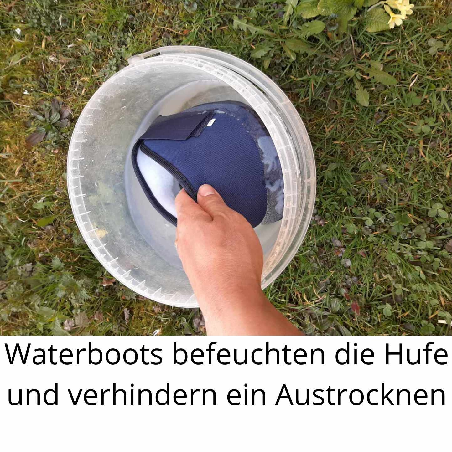 AMKA Waterboots Hufglocken