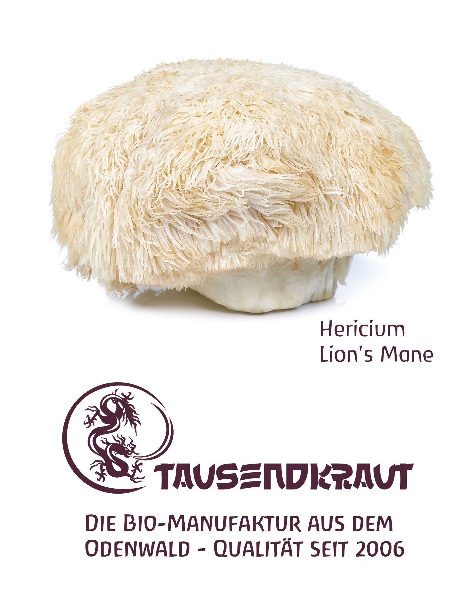 Hericium-Pilz, weiß und behaart. Darunter Logo und Schriftzug: Tausendkraut. Text: Die Bio-Manufaktur aus dem Odenwald.