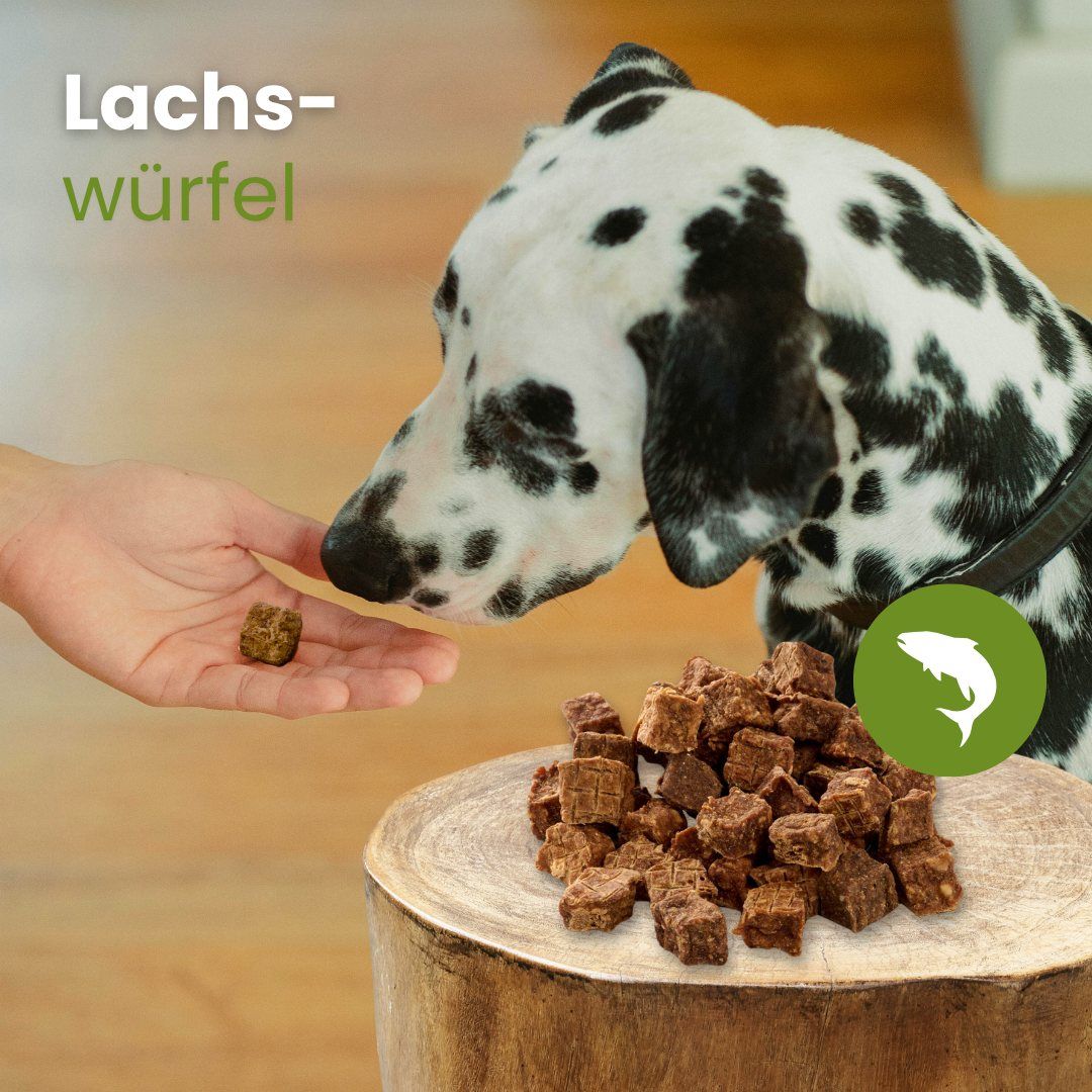 Getrocknete, dunkle, ringförmige Hundesnacks, auf einem Haufen angeordnet.