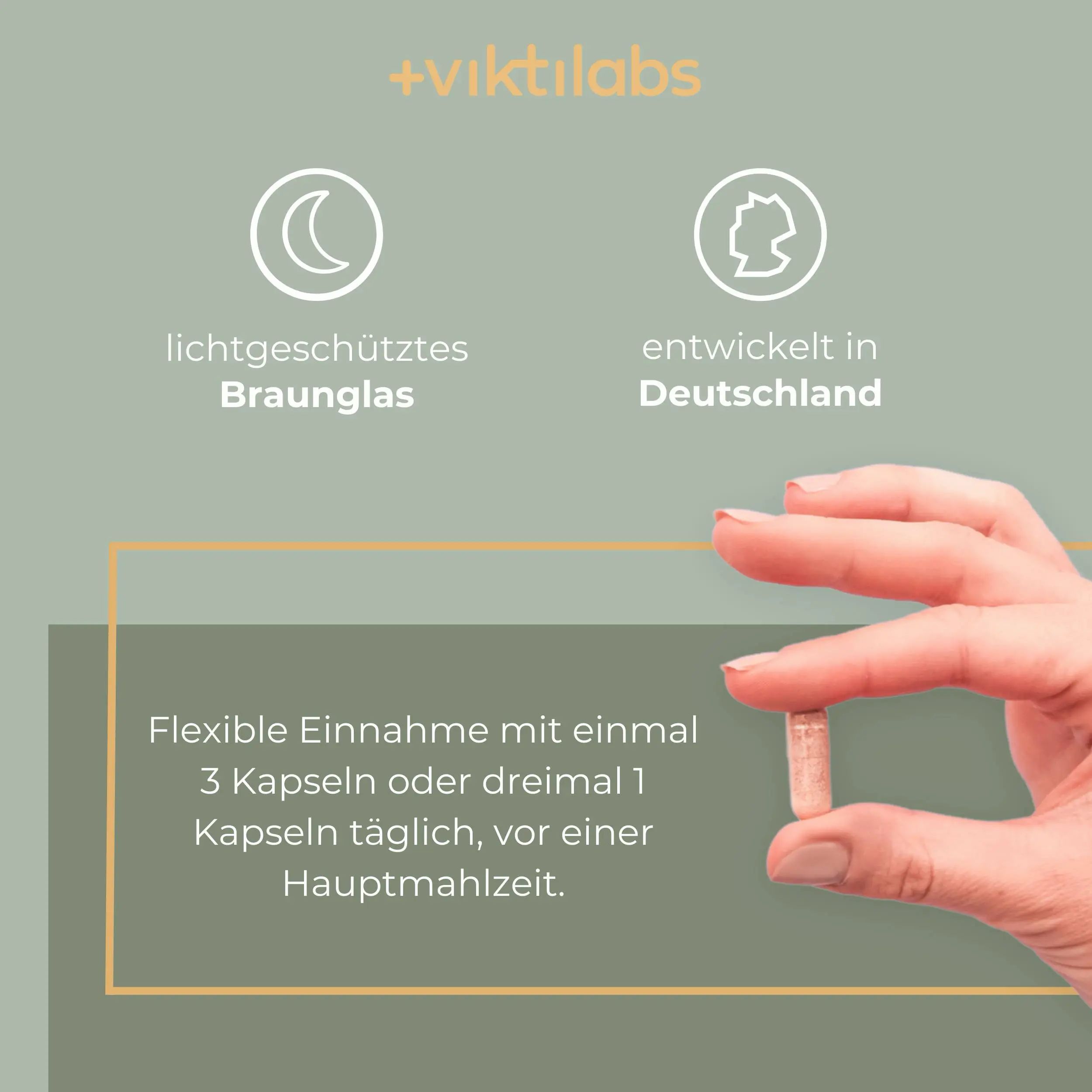 Hand hält eine Viktilabs Leber Komplex Daily Kapsel, mit Symbolen für Braunglas und Deutschland.