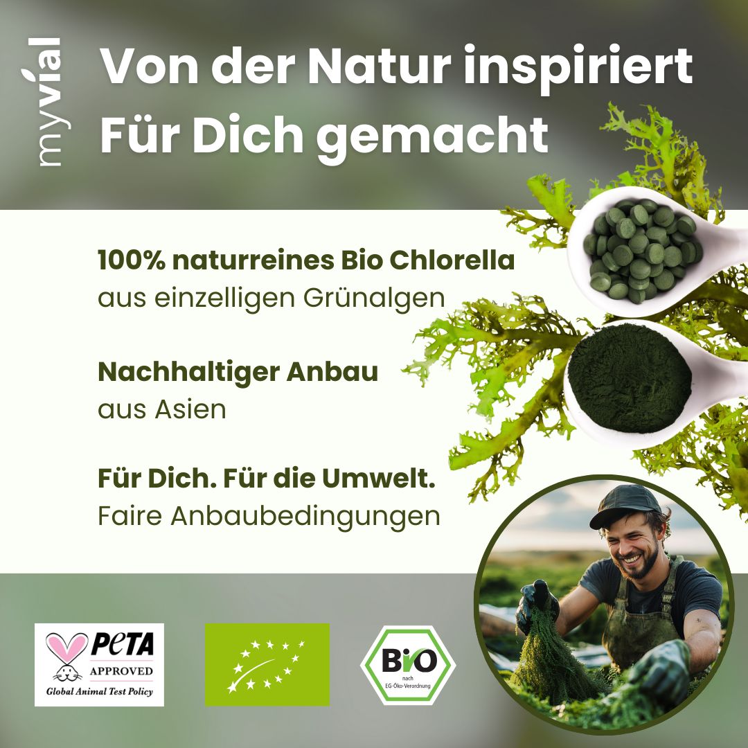 myvial® Bio Chlorella Tabletten Presslinge - 240 St mit Eisen & B12 - vegan
