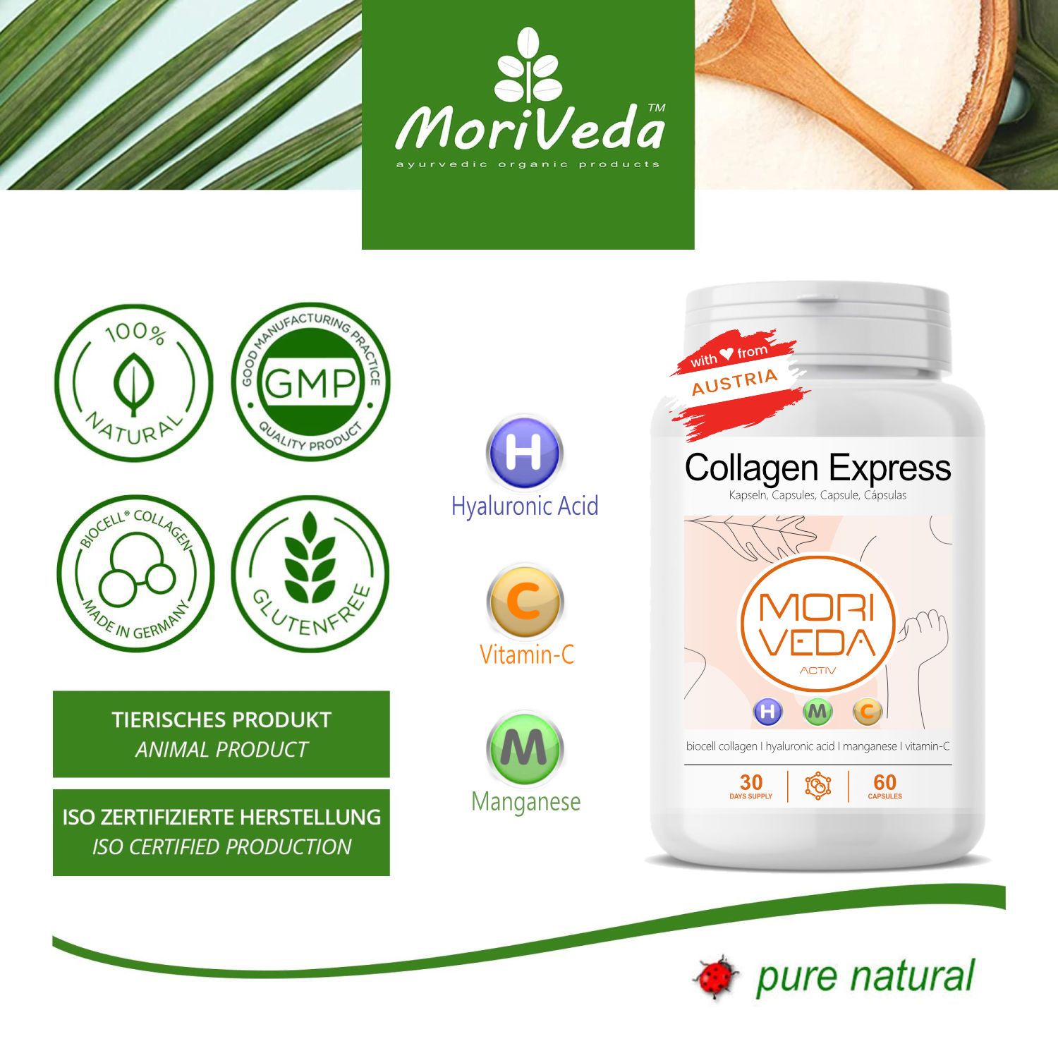 MoriVeda® - Collagen Typ-II Express