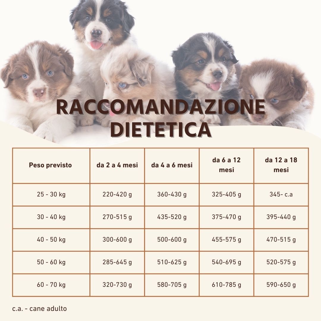 Diätempfehlungen für Hunde nach Gewicht und Alter. Tabellarische Darstellung mit Gewichts- und Altersangaben.