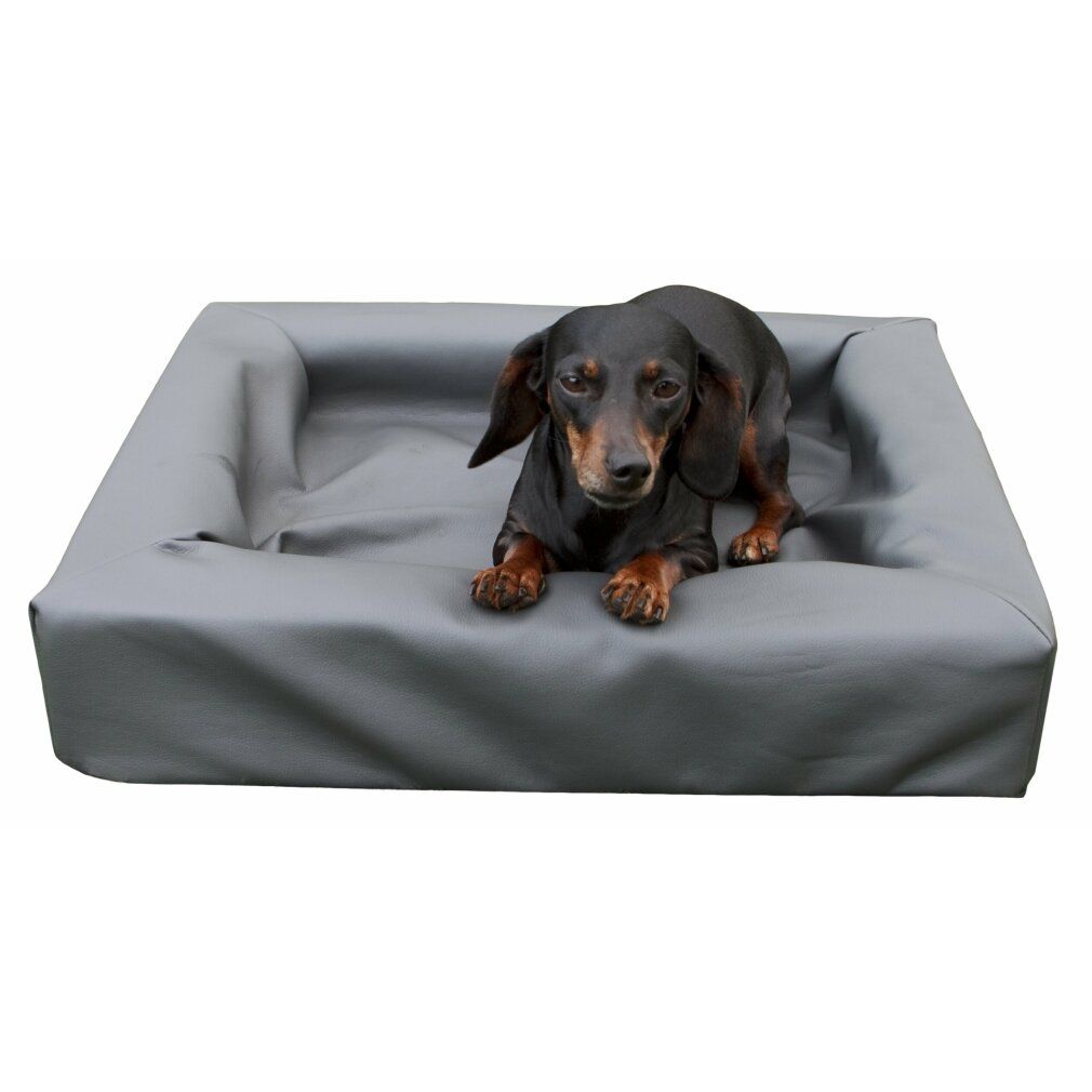 Graues Hundebett mit einem Dackel. Rechteckige Form, erhöhte Ränder.