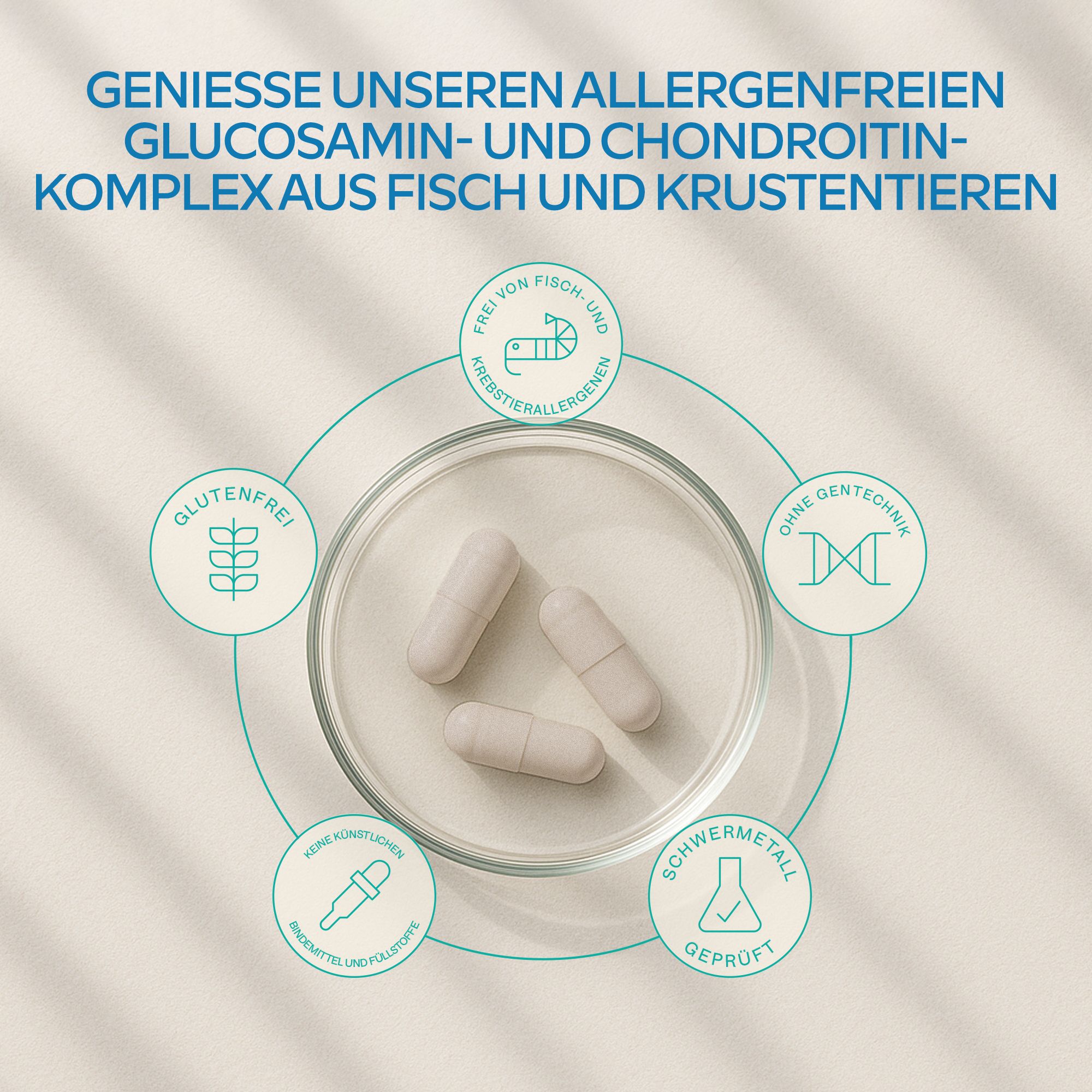 Kapseln in einer Schale. Symbole für glutenfrei, ohne Gentechnik, etc. 