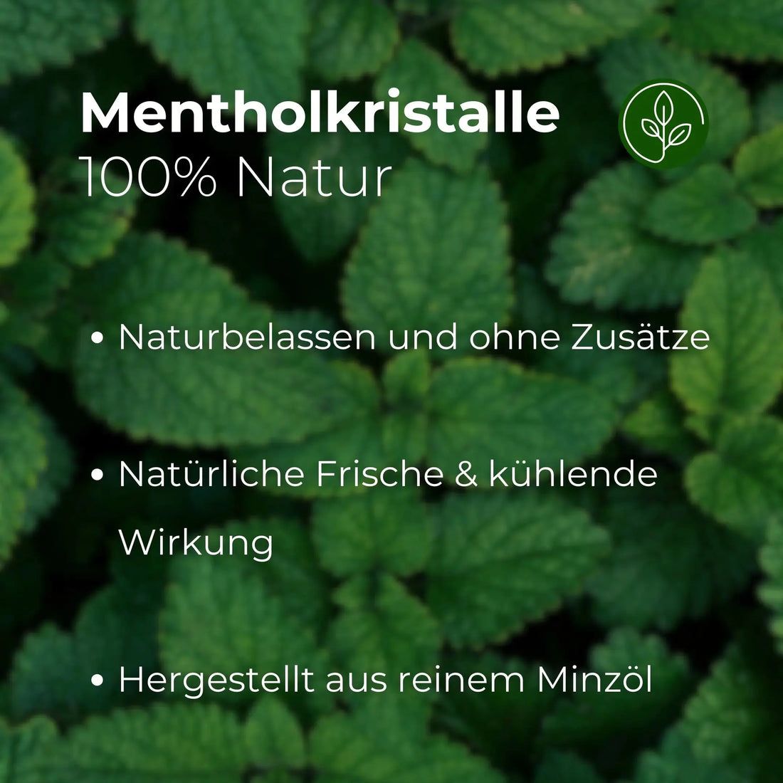 Grüner Hintergrund mit Blättern. Text: Mentholkristalle, 100% Natur, naturbelassen, natürliche Frische, hergestellt aus reinem Minzöl.