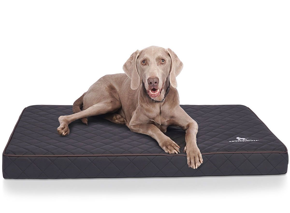 Hund liegt auf orthopädischer Hundematte. Dunkelgrau mit brauner Umrandung und Steppmuster. Logo: Knuffelwuff.
