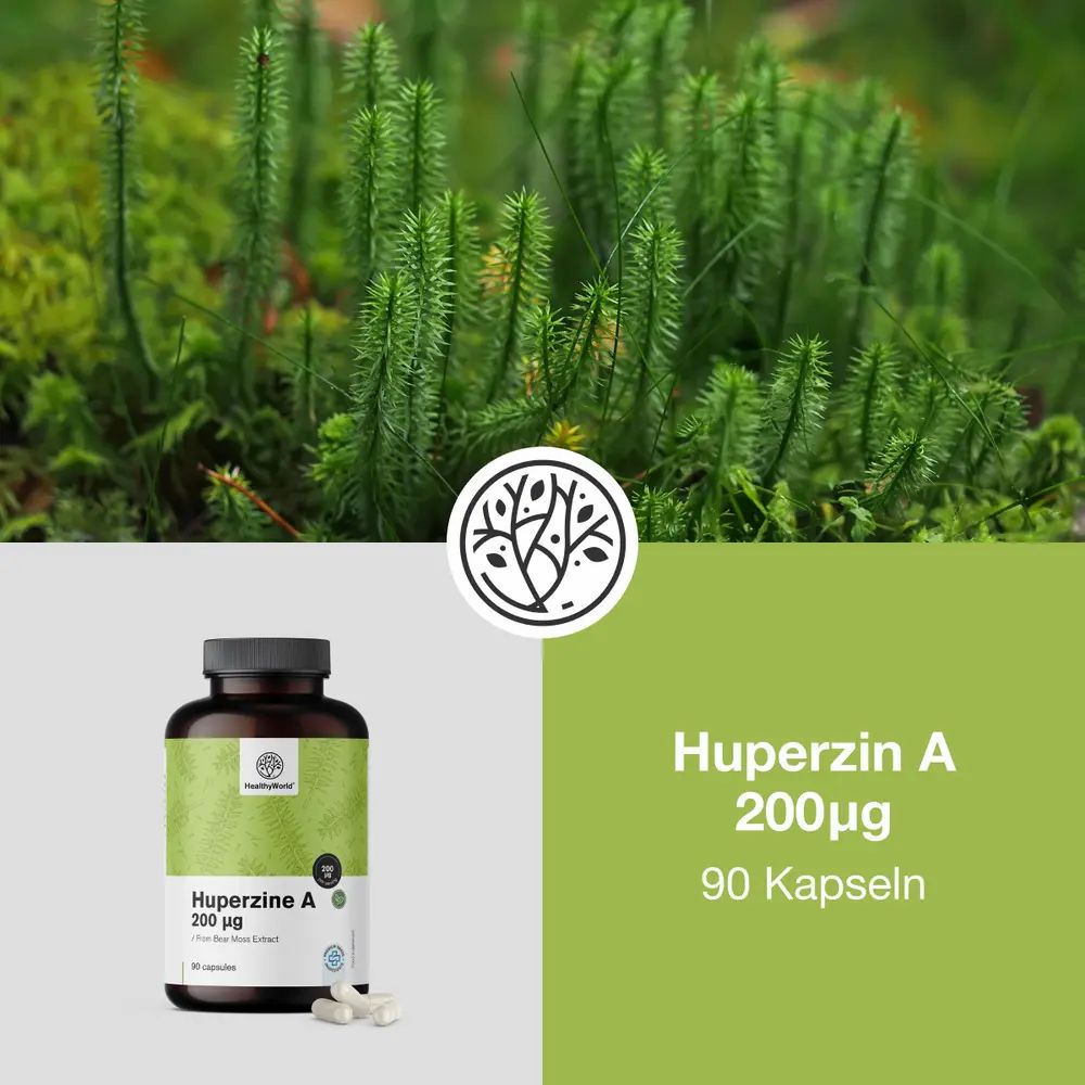 Huperzin A 200 µg, 90 Kapseln. Braune Flasche mit Kapseln. Grüner Hintergrund. Logo HealthyWorld.