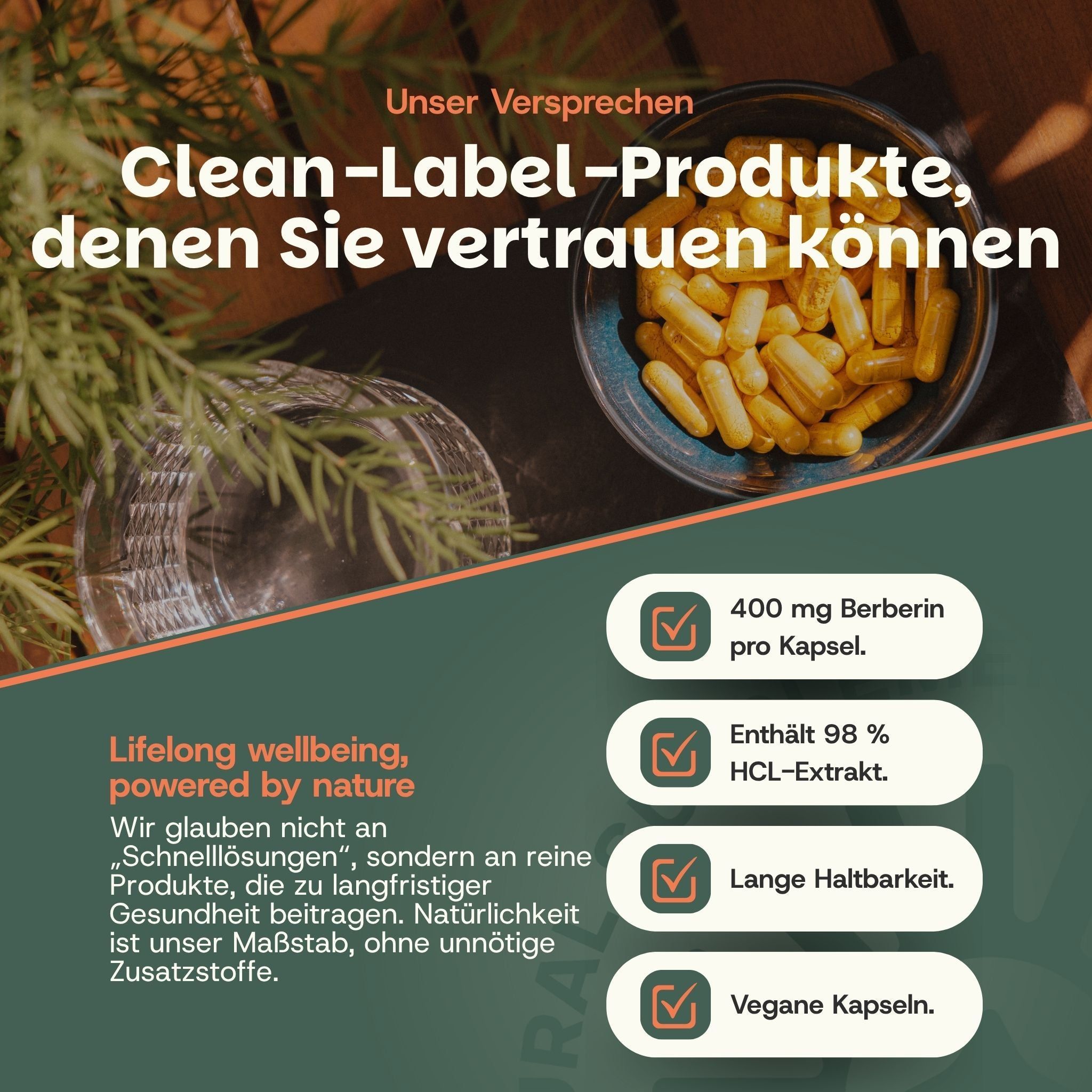 GOYU Berberin Kapseln: 400 mg pro Kapsel, 98% HCL-Extrakt, lange Haltbarkeit, vegane Kapseln.