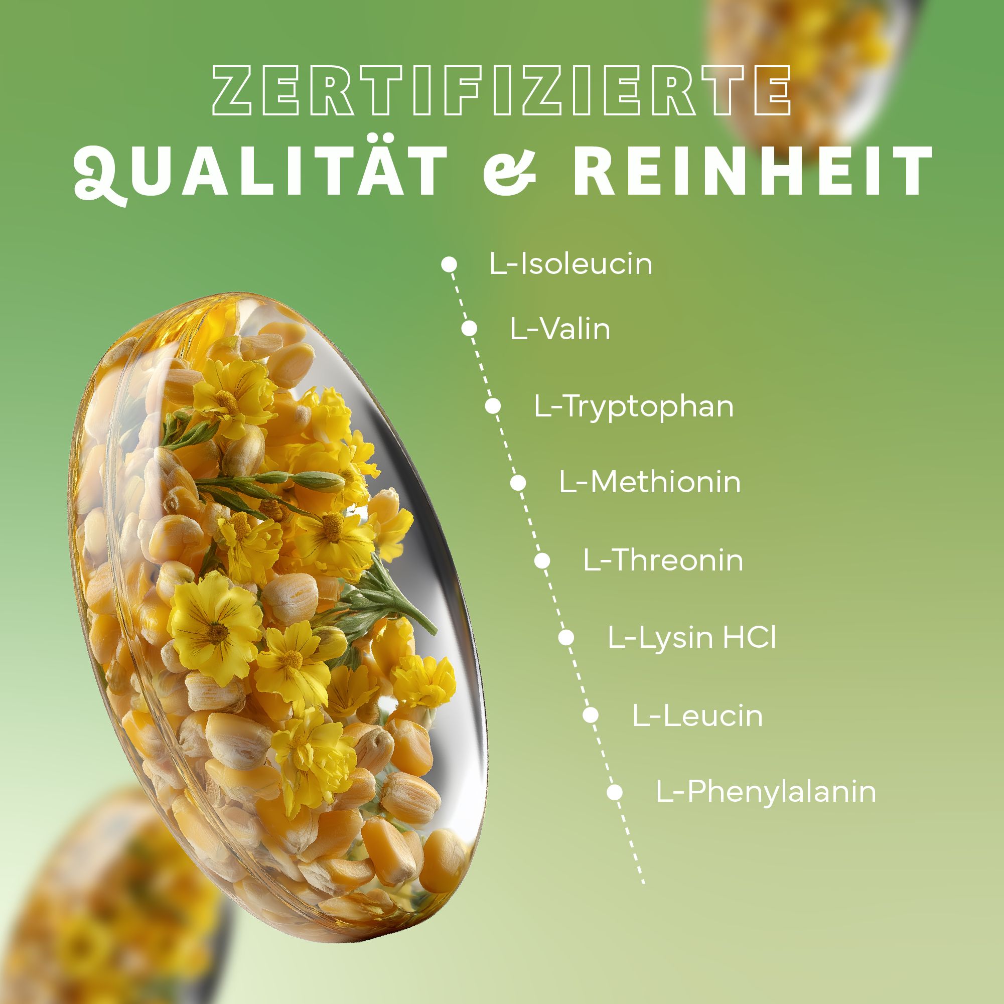 Transparente Kapsel mit gelben Blüten und Maiskörnern. Text: Zertifizierte Qualität & Reinheit. Aminosäuren-Liste.
