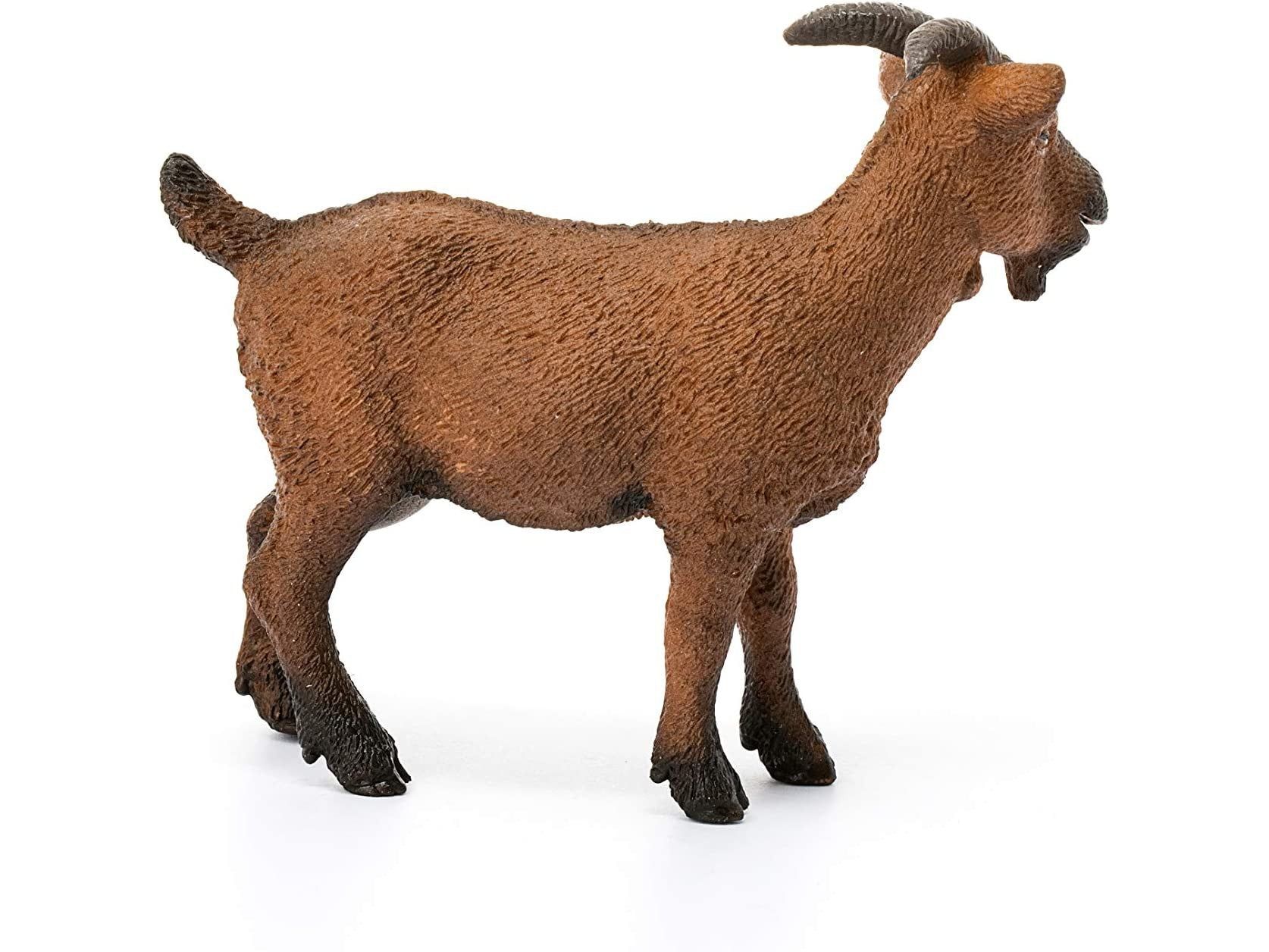 Seitenansicht einer Ziege. Braunes Fell, Hörner, schwarze Hufe. Stehende Pose, Blick zur Seite.