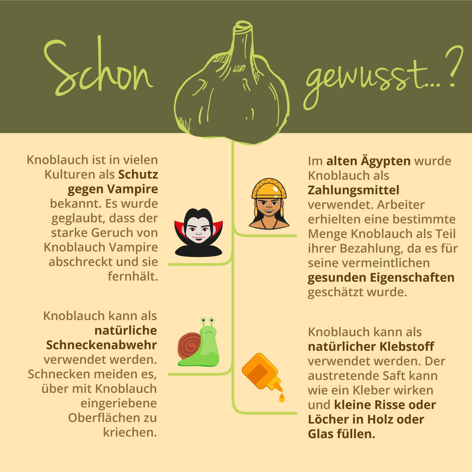 Infografik: Knoblauch als Schutz gegen Vampire, Schneckenabwehr, natürlicher Klebstoff. Illustrationen.