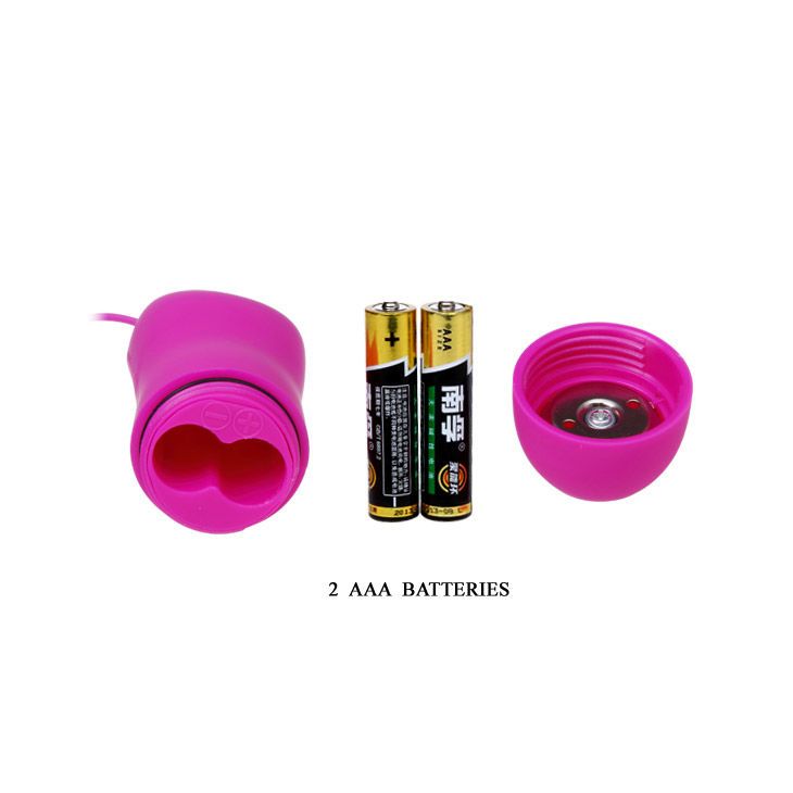 Rosa Vibrator mit Fernbedienung. Der Vibrator hat eine Delfinform. Die Fernbedienung hat einen Ein-/Ausschalter und eine Nummer 12. Batterien sind abgebildet.