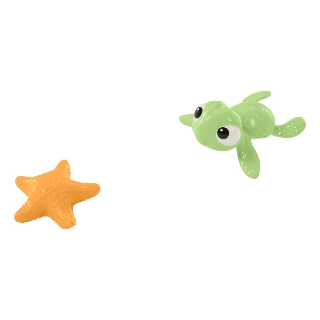 Orangefarbener Seestern und grüne Schildkröte. Beide liegen auf weißem Hintergrund.