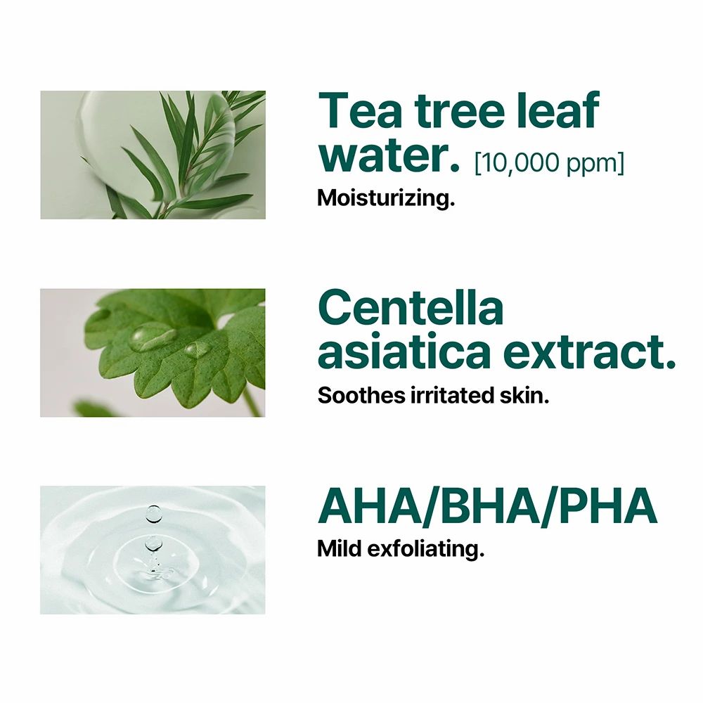 Drei Bilder mit Text. Zeigt Teebaumblattwasser, Centella Asiatica Extrakt und AHA/BHA/PHA. Beschreibungen in Englisch.
