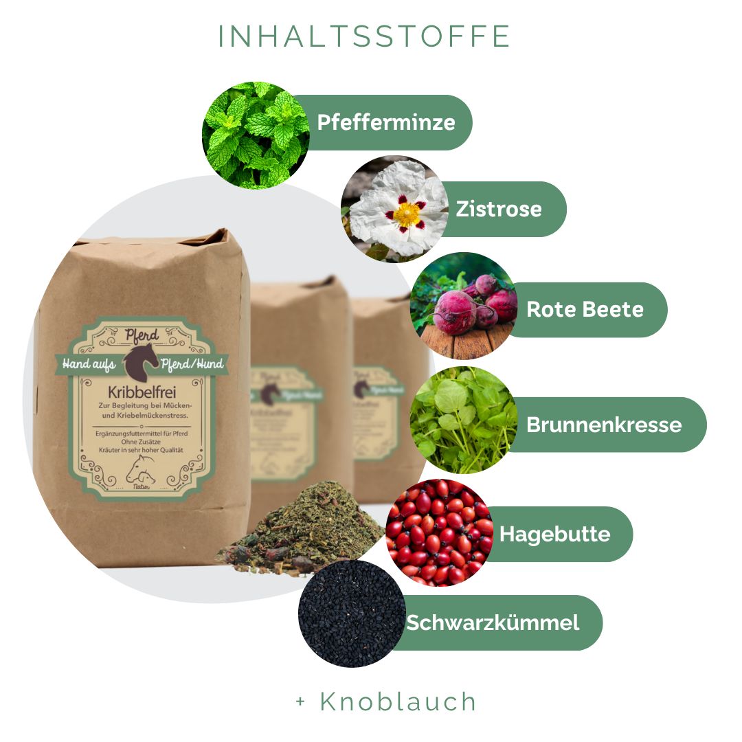 Drei braune Papiertüten mit Produktetikett und Kräutermischung. Einzelne Zutaten: Pfefferminze, Zistrose, Rote Beete, Brunnenkresse, Hagebutte, Schwarzkümmel.