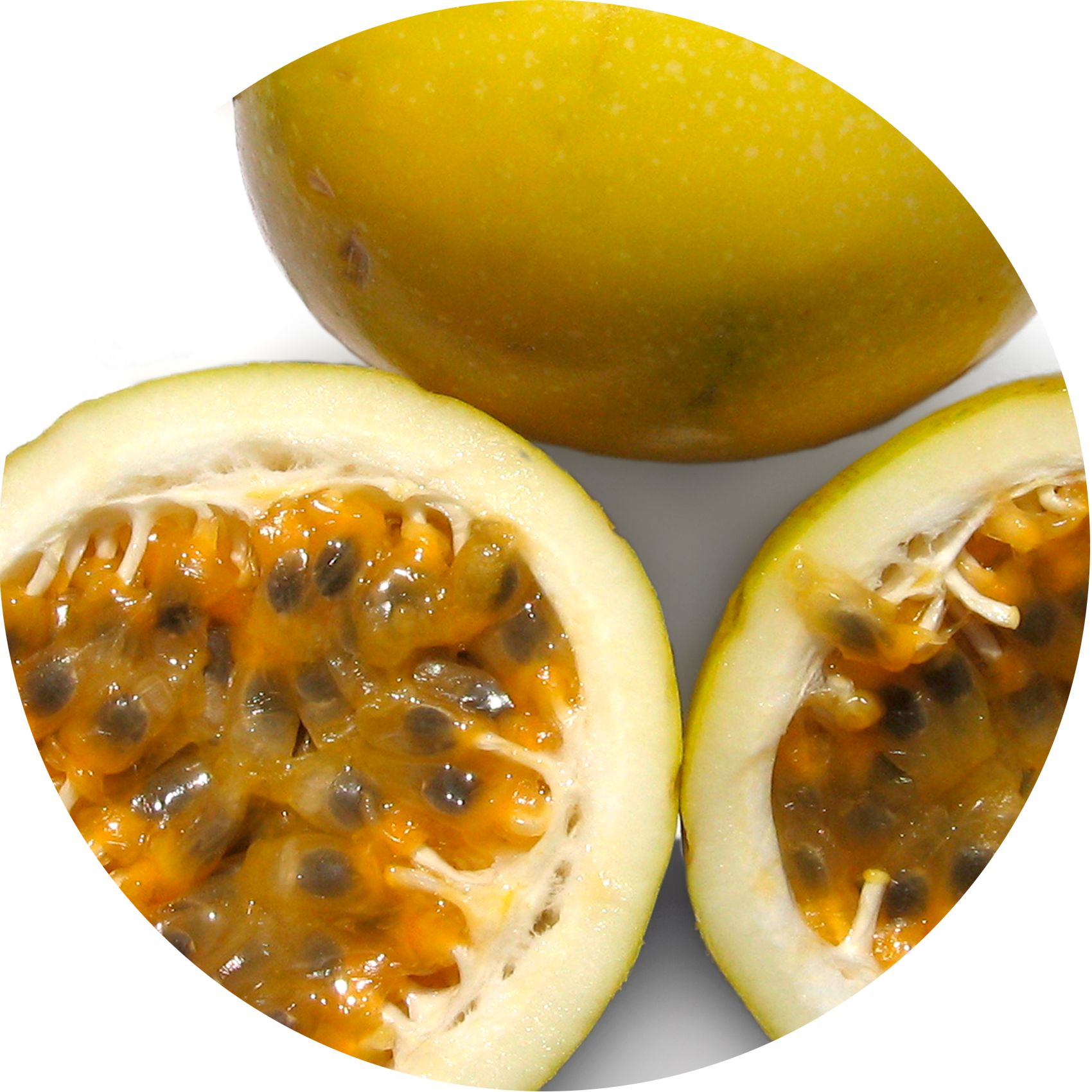 Nahaufnahme von Passionsfrüchten. Eine Frucht ganz, zwei halbiert, Kerne sichtbar. Gelbe Schale, orangefarbenes Fruchtfleisch.