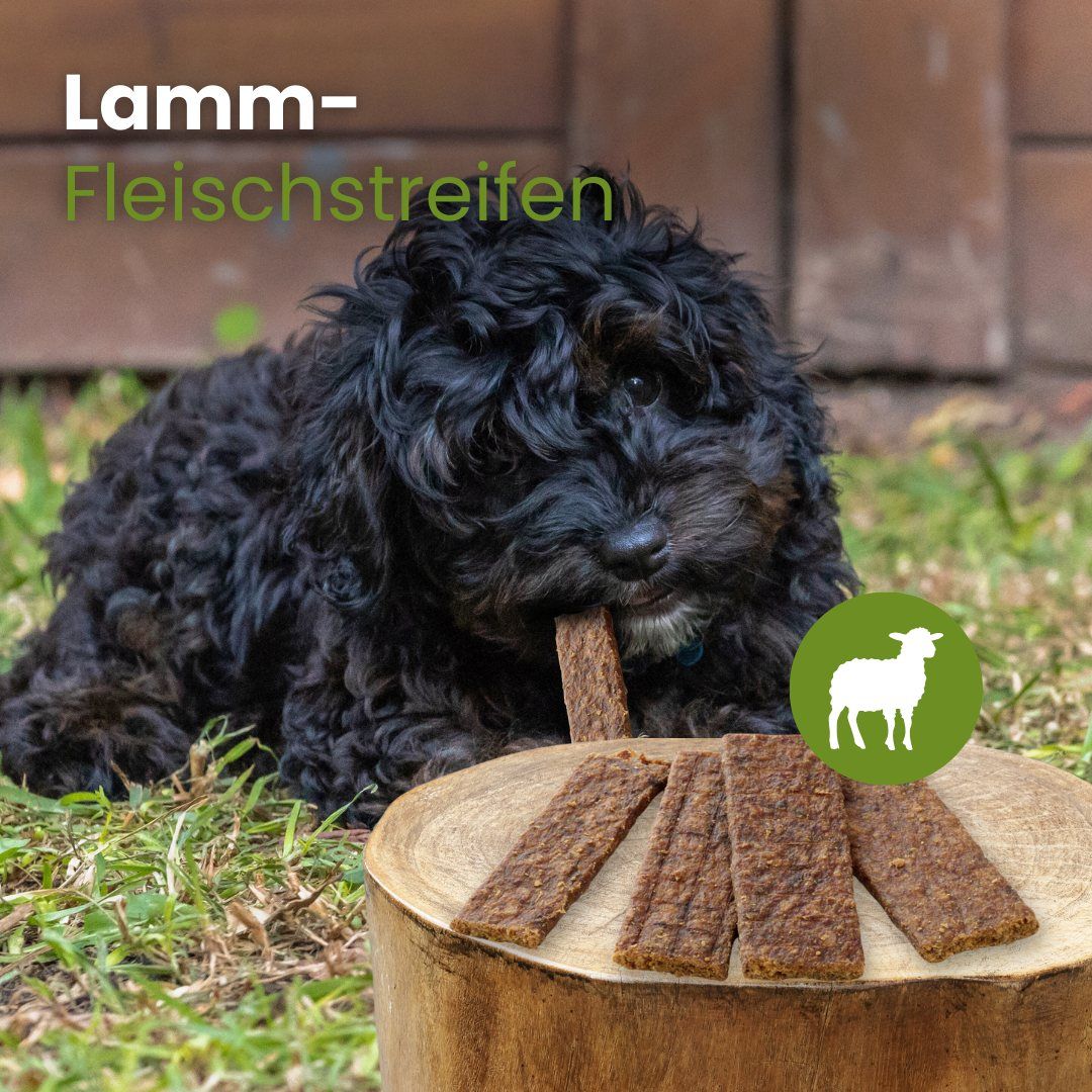 Lamm-Fleischstreifen, 100% Lamm, schonend getrocknet, hoher Proteingehalt, unterstützt Zahngesundheit.