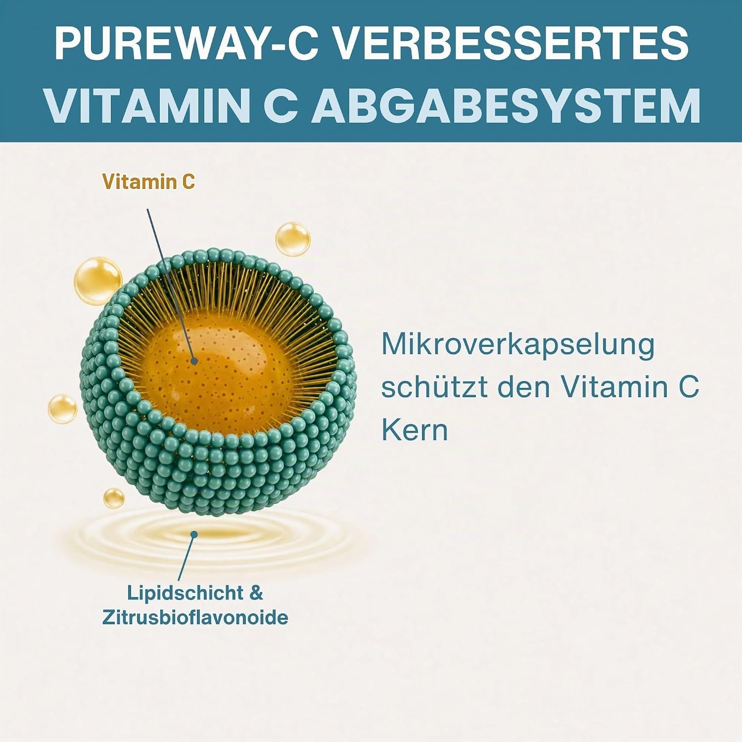 Flasche mit Vitamin C Tabletten, umgeben von Zitrusfrüchten und Papaya.