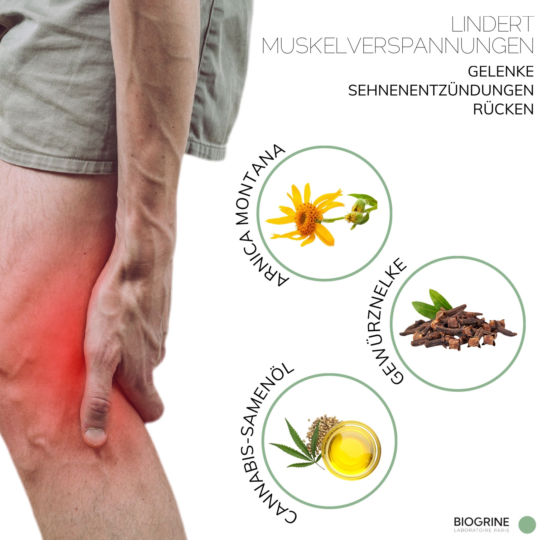 BIOGRINE „REMEDY“ ARNIKA-GEL MIT CBD  NELKE & ZYPRESSE