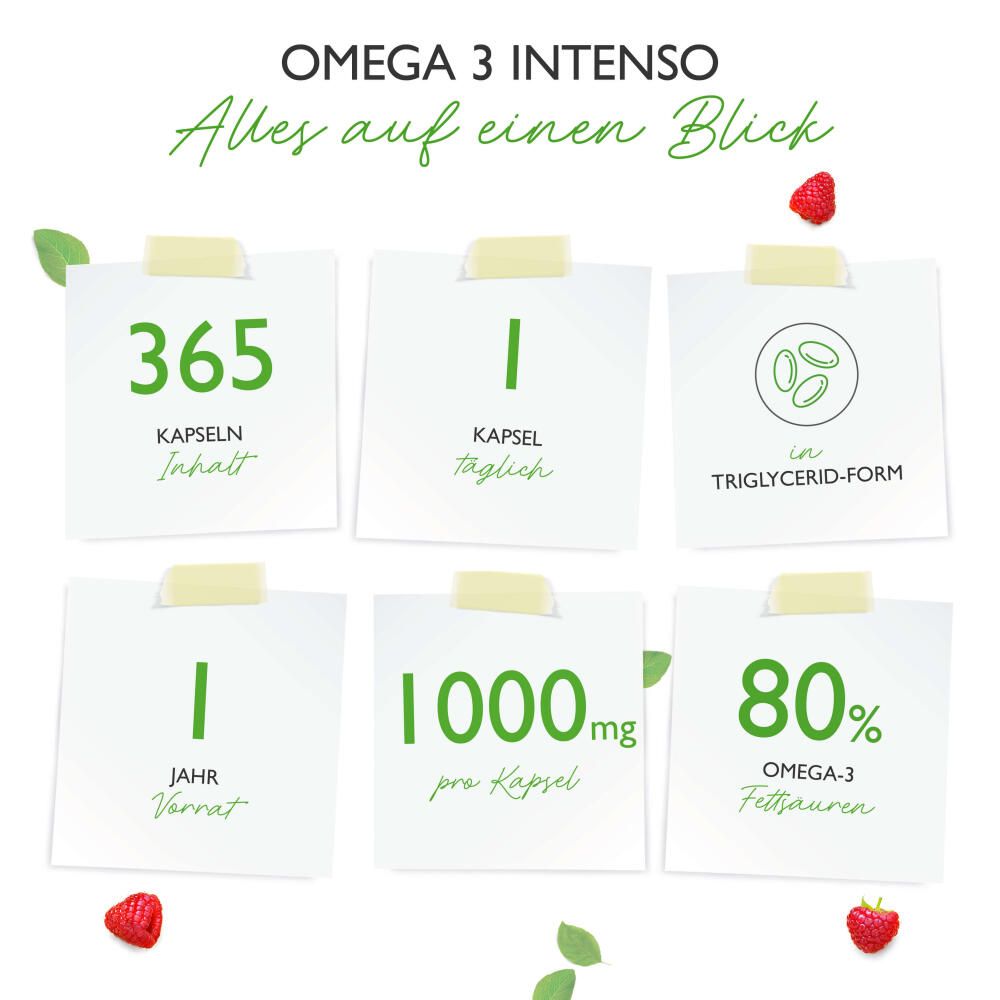 vit4ever Omega 3 Intenso Fischöl 365 St Kapseln