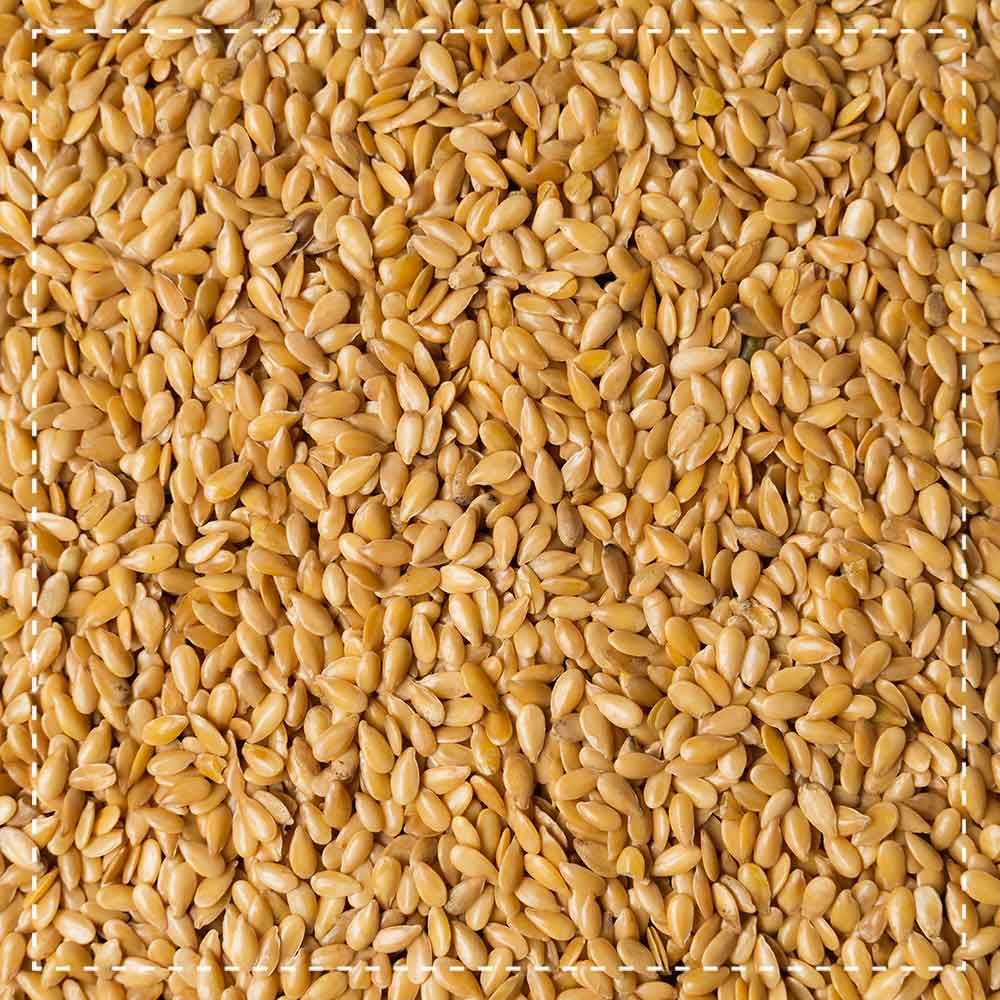Biotiva Gold Leinsamen Bio