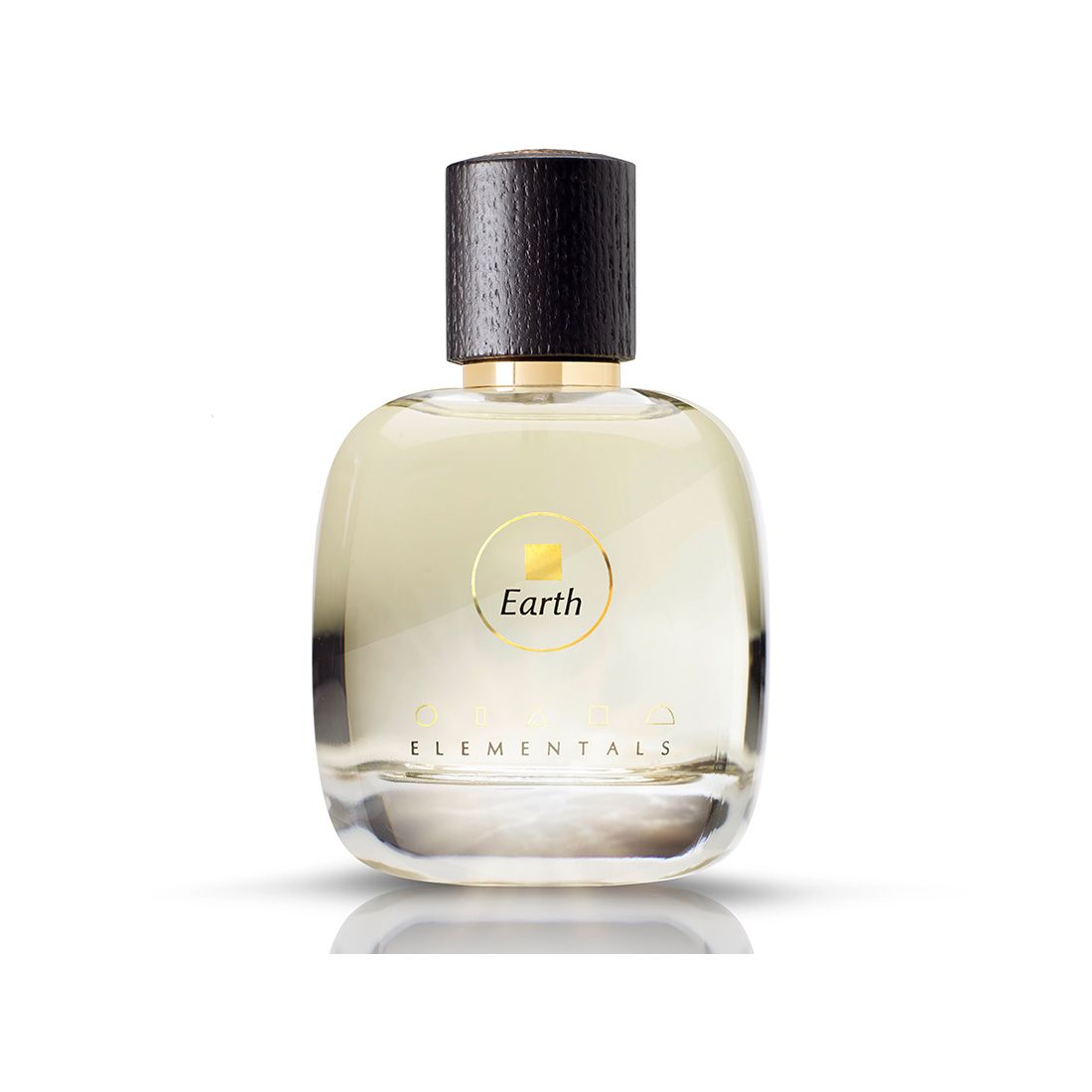 Elementals - Earth Edp 100 ml