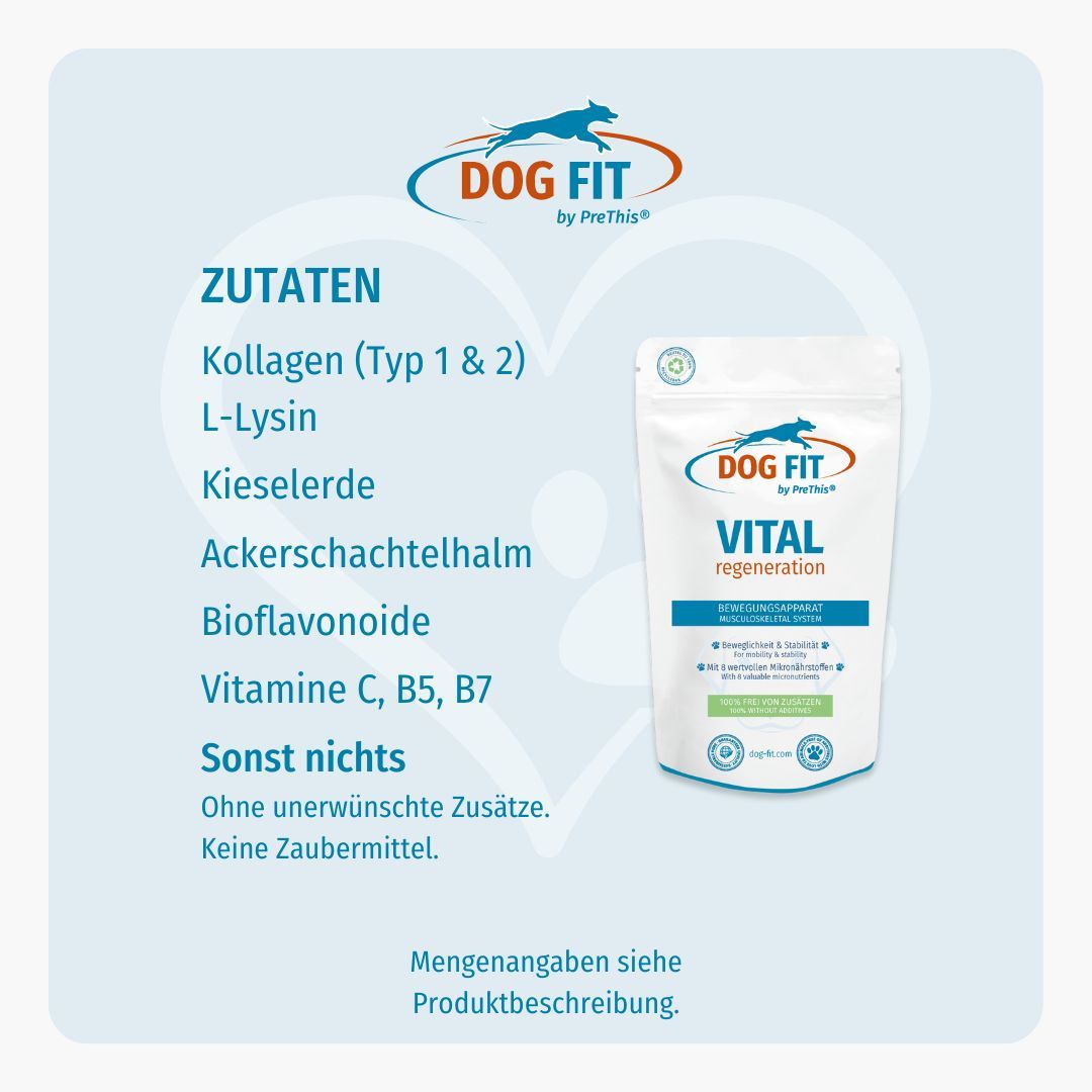 Grafik mit DOG FIT Logo und Produktbezeichnung. Text: VITAL regeneration, Zutaten: Kollagen, L-Lysin, Kieselerde, Ackerschachtelhalm, Bioflavonoide, Vitamine.