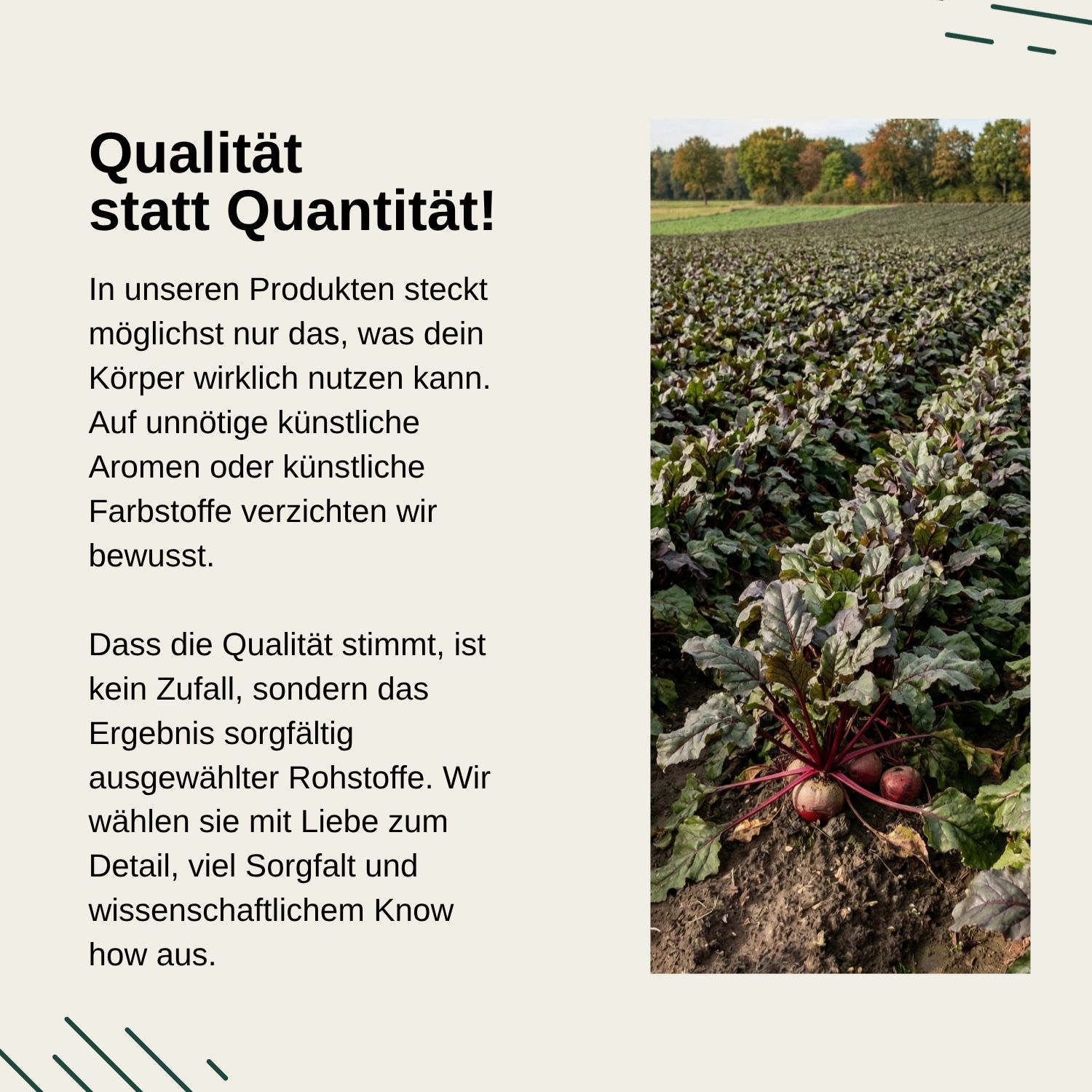Vita Elements Rote-Bete Kautabletten