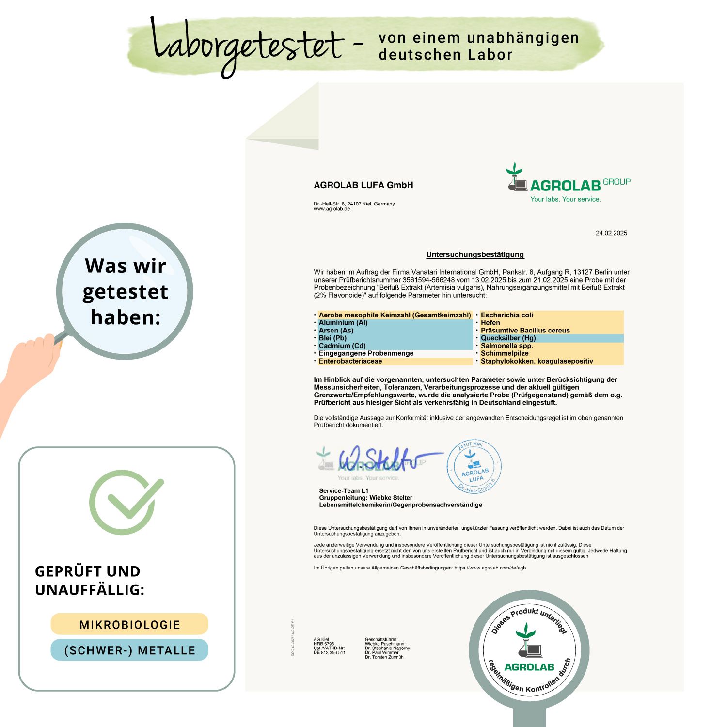 VEGAVERO Beifuß Extrakt
