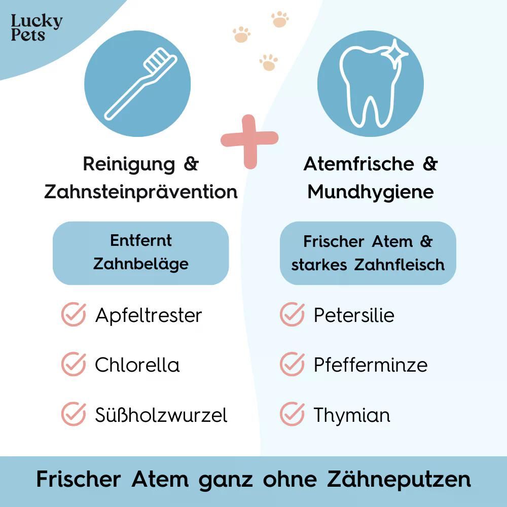 Grafik mit Zahnputzsymbol und Zahn-Symbol. Text: Reinigung & Zahnsteinprävention, Atemfrische & Mundhygiene. Inhaltsstoffe.