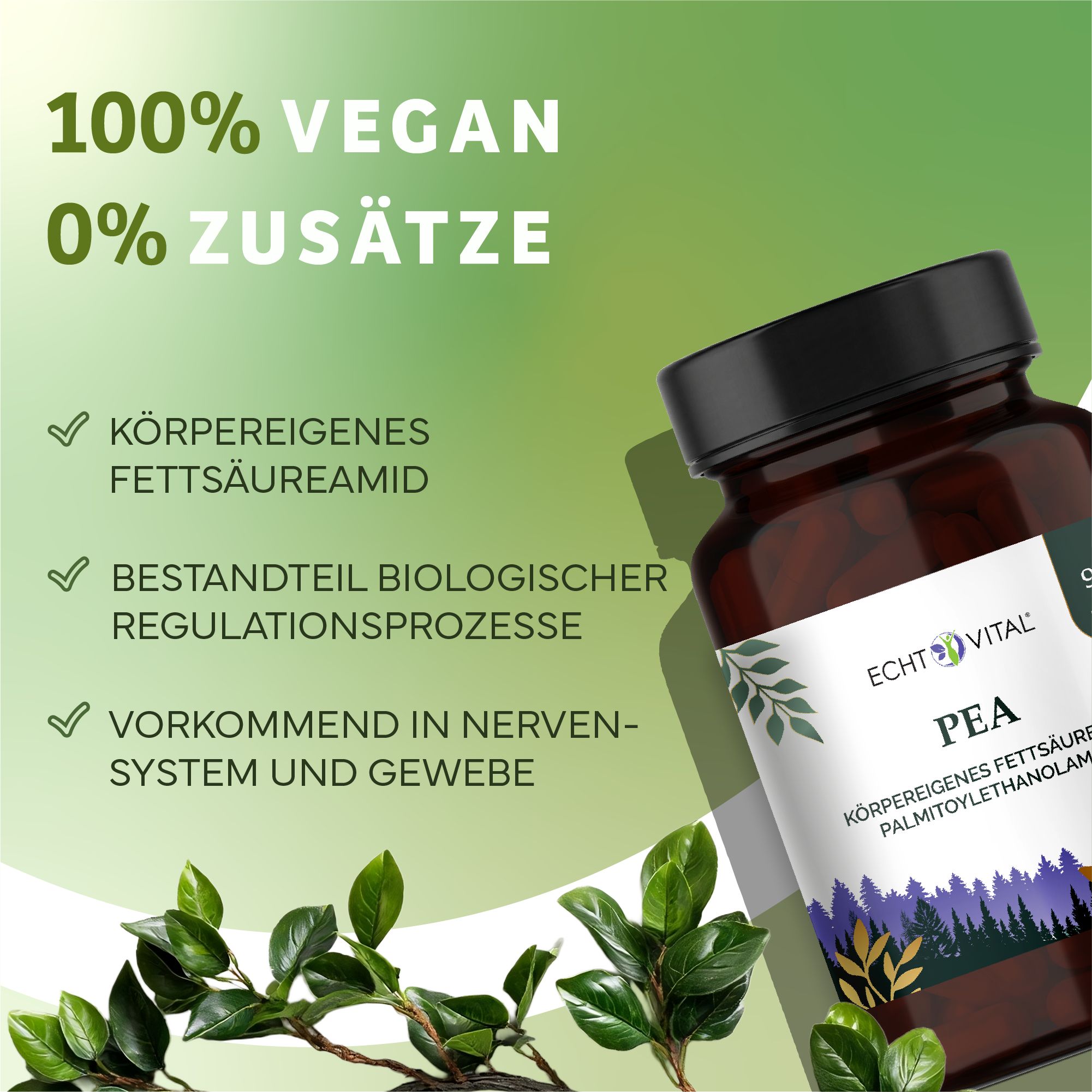 Braune Flasche mit schwarzem Deckel. Aufschrift: Echt Vital PEA. Text: 100% vegan, 0% Zusätze. Grün hinterlegt.