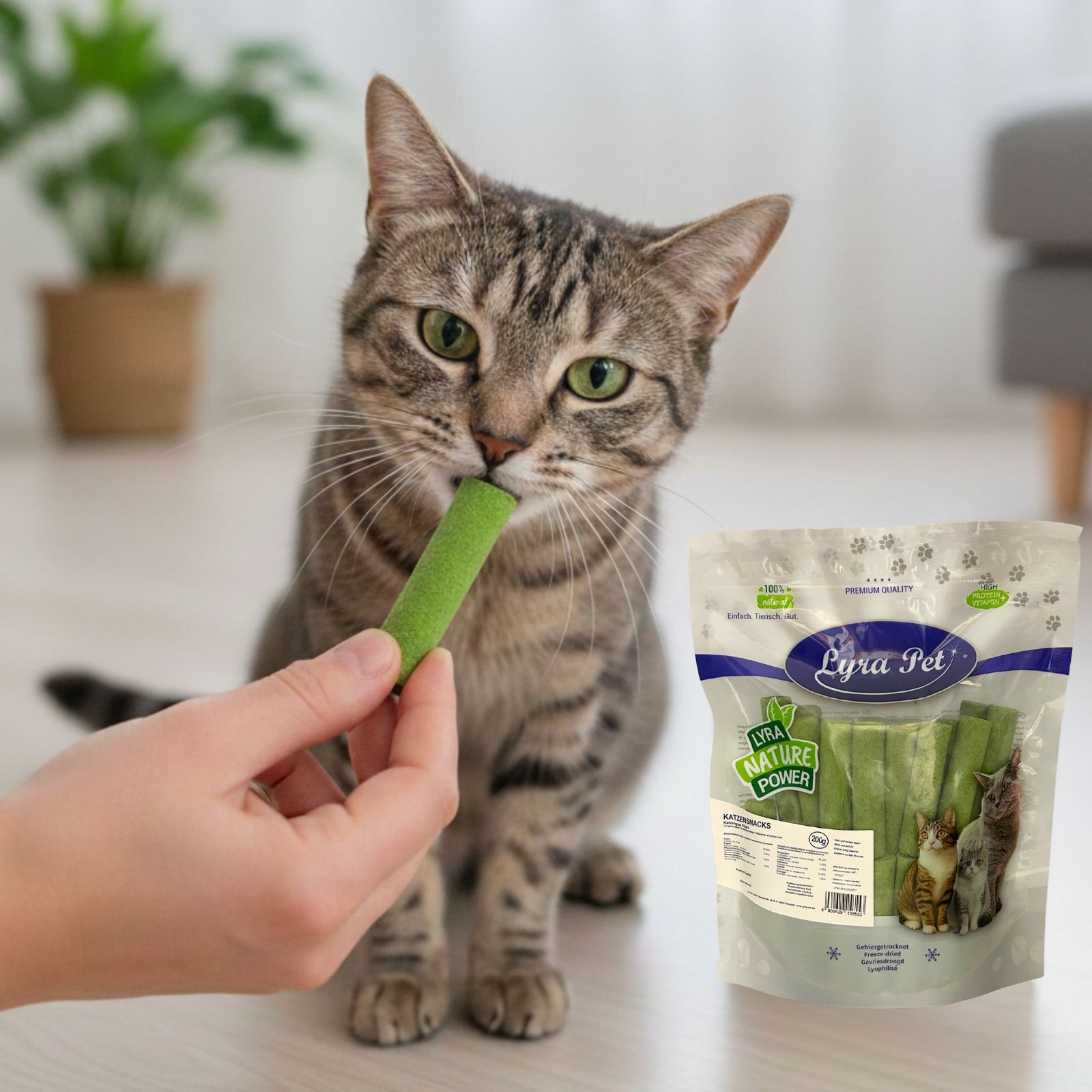 Lyra Katzengras Sticks gefriergetrocknet