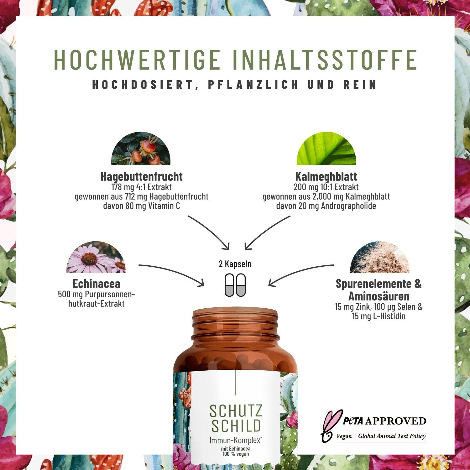 Grafik mit Inhaltsstoffen. Hagebuttenfrucht, Kalmeghblatt, Echinacea, Spurenelemente & Aminosäuren. 2 Kapseln.
