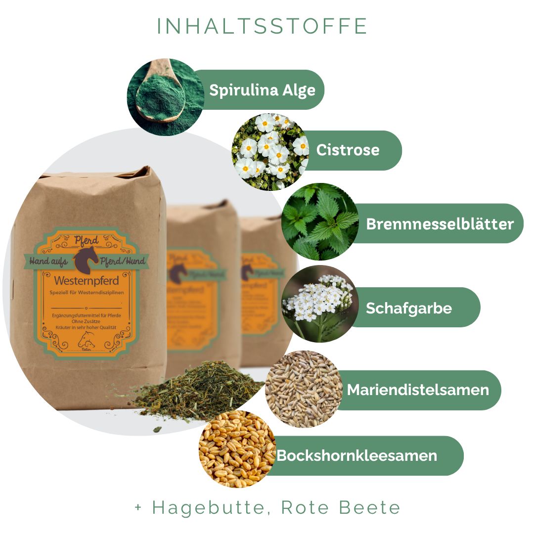Drei braune Papiertüten mit Produktetikett und Kräutermischung. Abgebildet sind Zutaten wie Spirulina Alge, Cistrose, Brennnesselblätter.