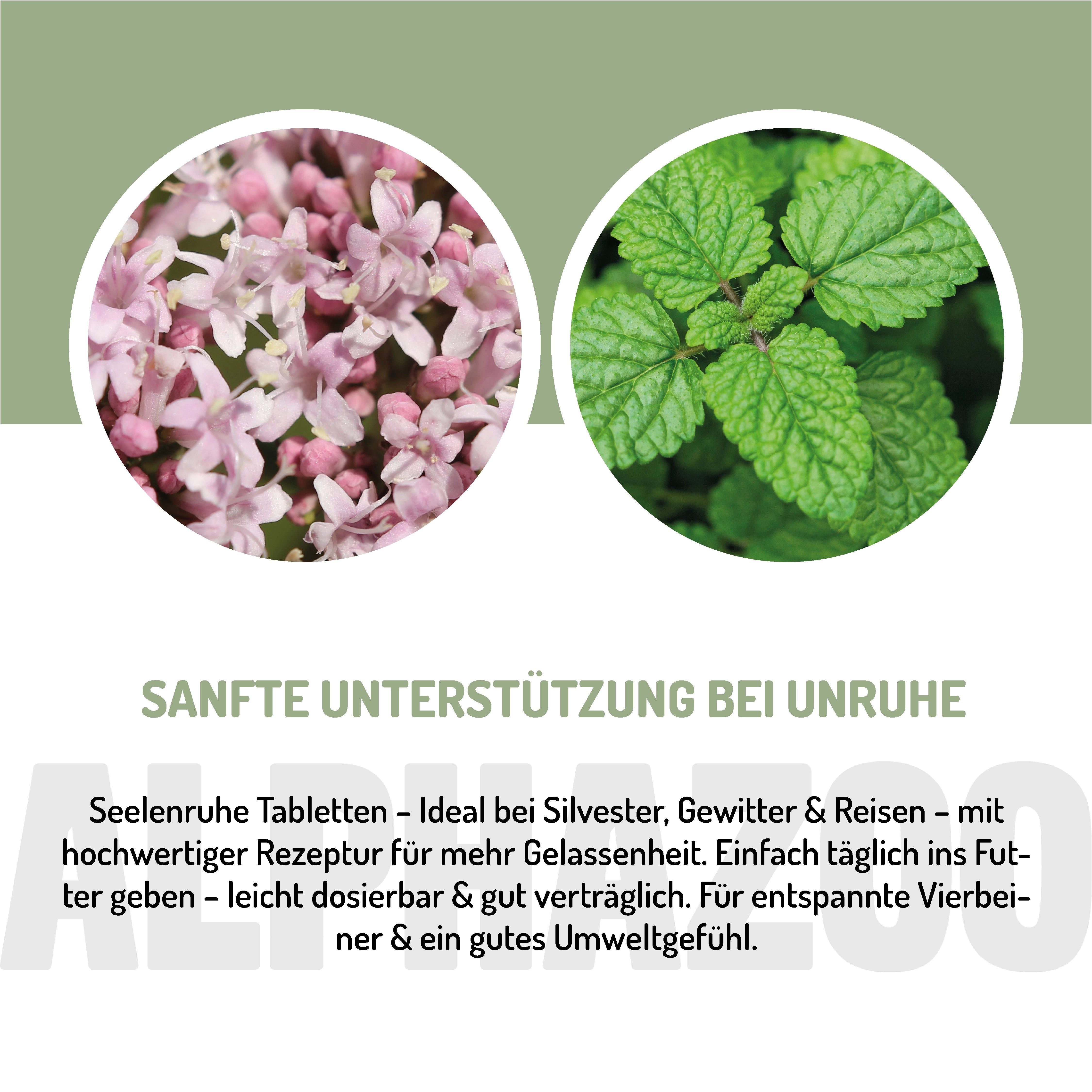 Zwei Kreise mit Pflanzen und Text: Sanfte Unterstützung bei Unruhe. Produktname: Seelenruhe Tabletten. Hochwertige Rezeptur für Gelassenheit.