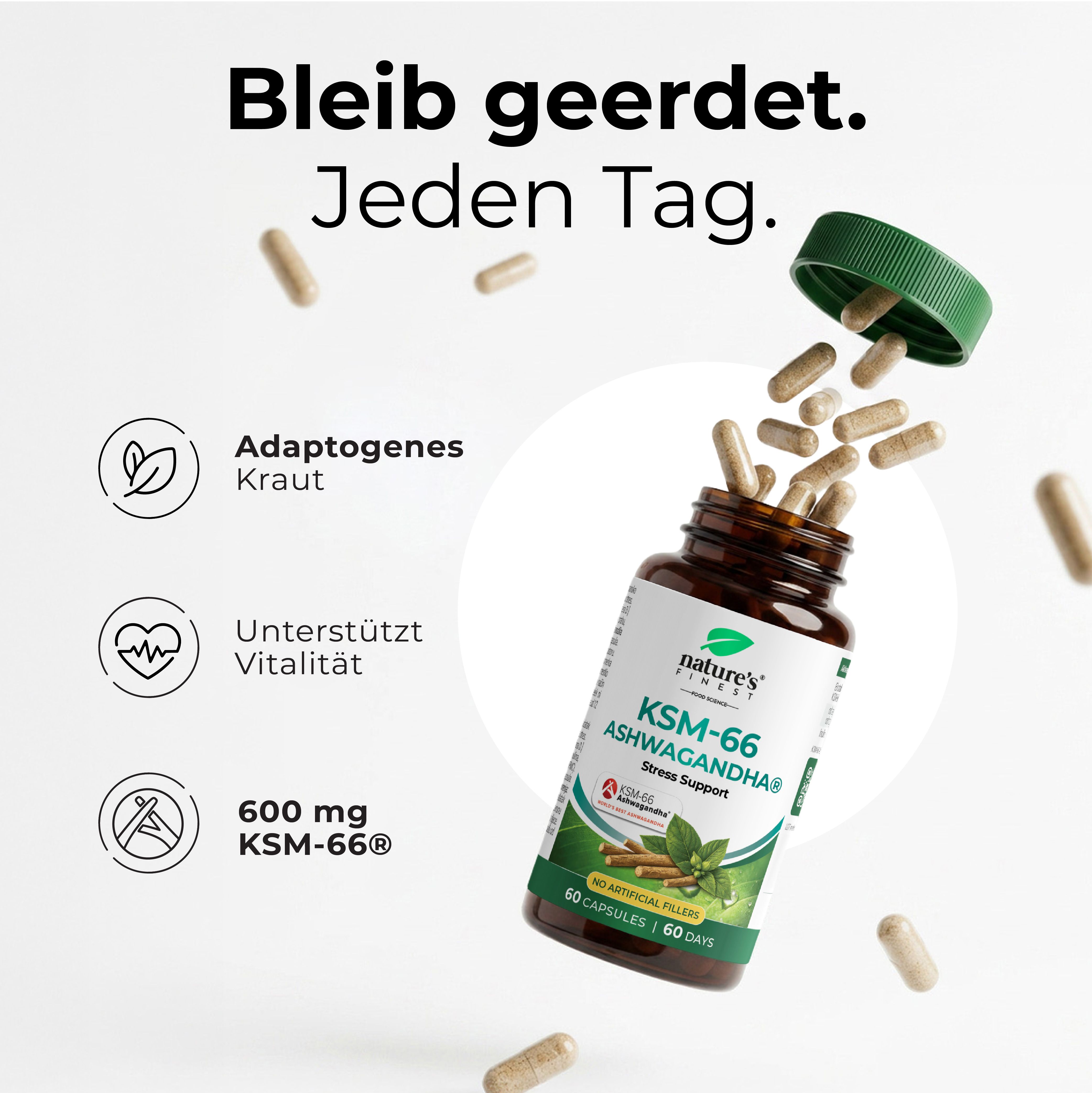 Flasche mit Kapseln, umgeben von einzelnen Kapseln und Icons für Adaptogenes Kraut, Vitalität und 600 mg KSM-66.