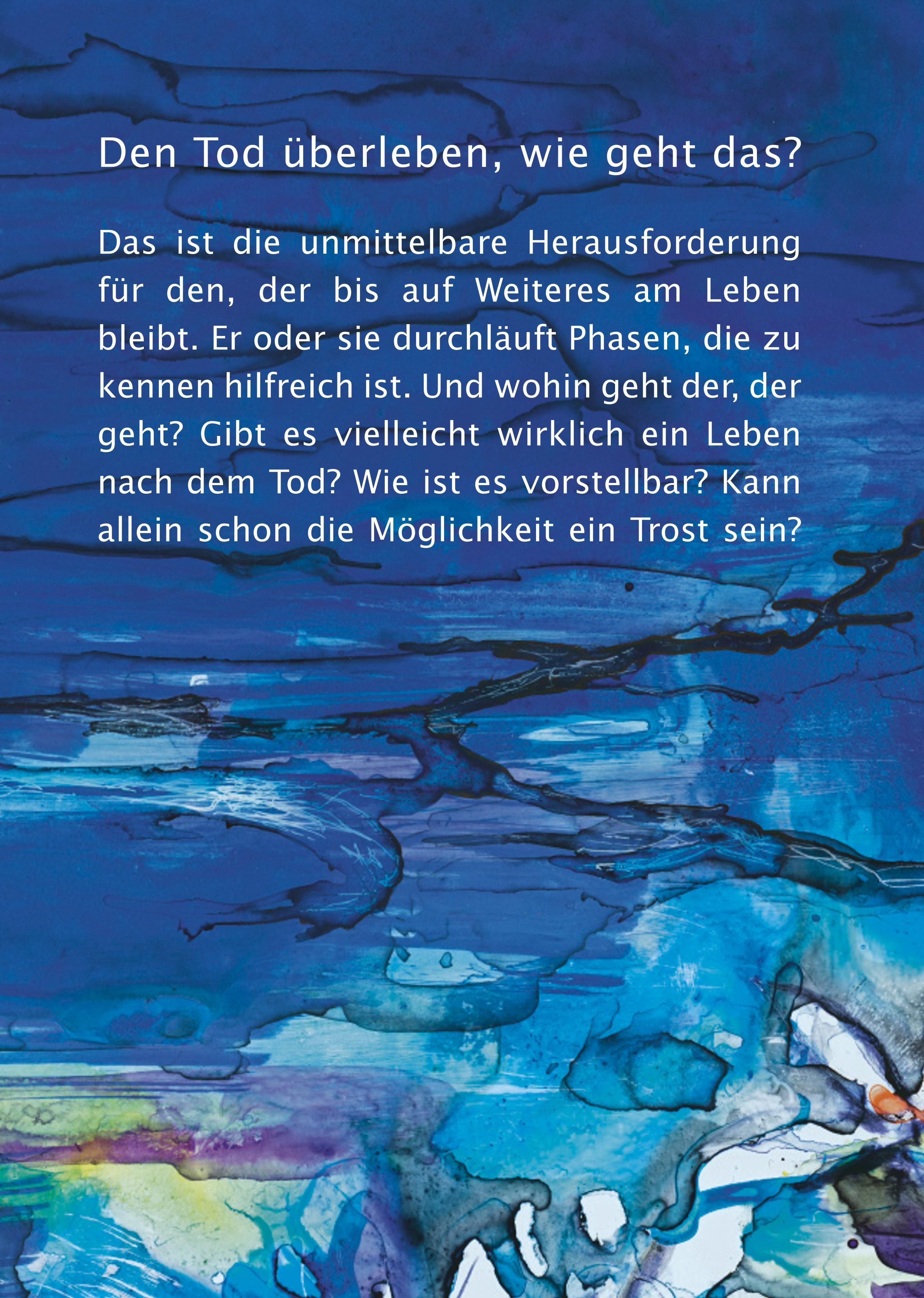 Rückseite des Buches "Den Tod überleben". Blauer Hintergrund mit Text. Fragen zum Thema Tod und Leben nach dem Tod.