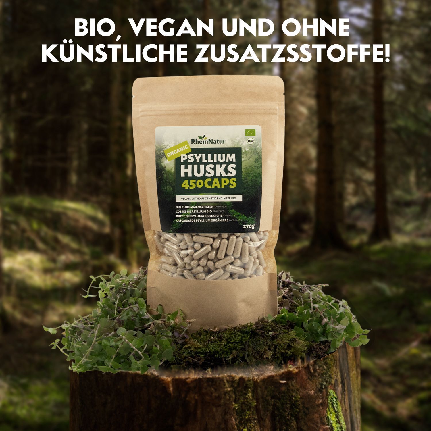 RheinNatur Bio Flohsamenschalen Kapseln