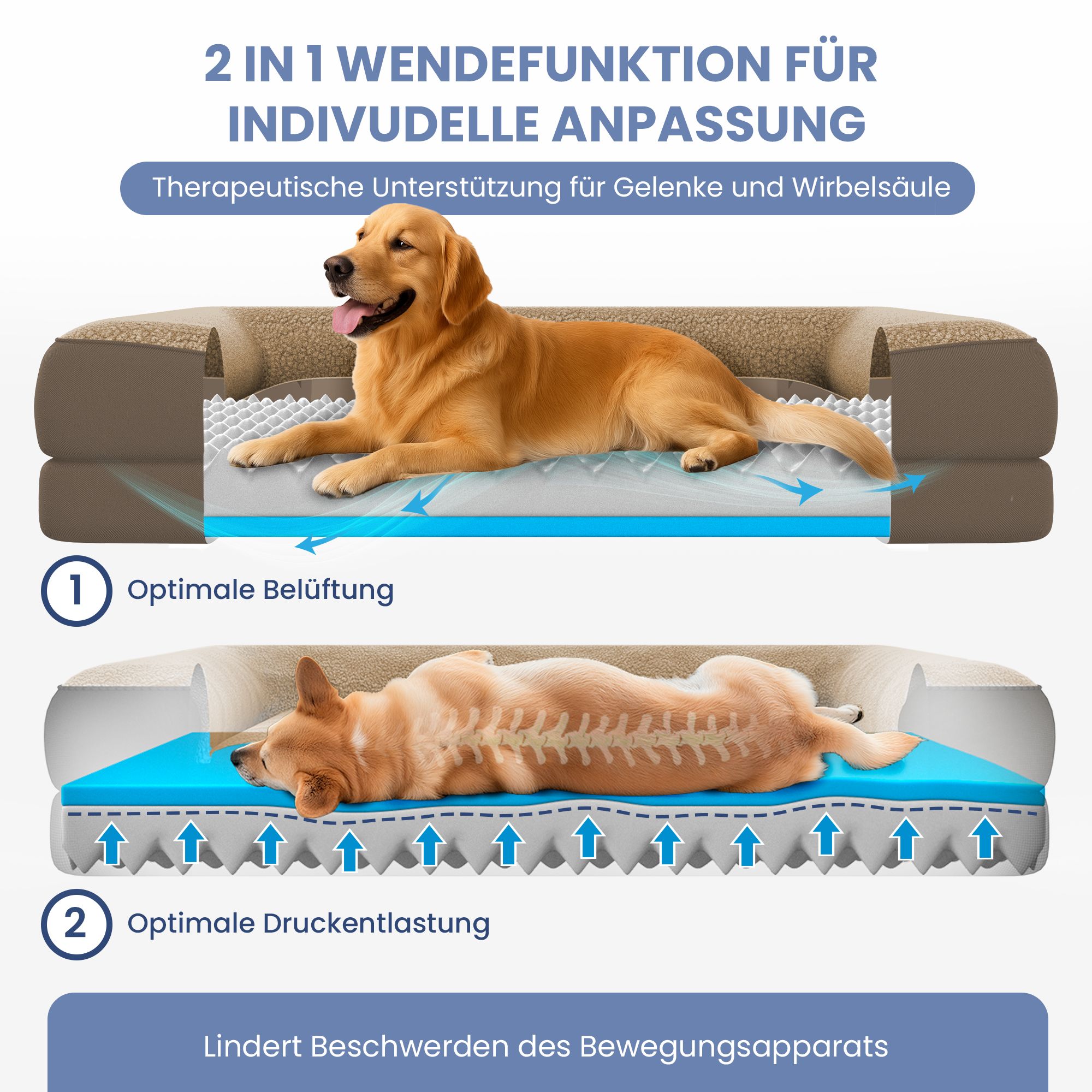 Hundebett mit zwei Hunden. 2-in-1-Wendefunktion. Optimale Belüftung und Druckentlastung. Text.