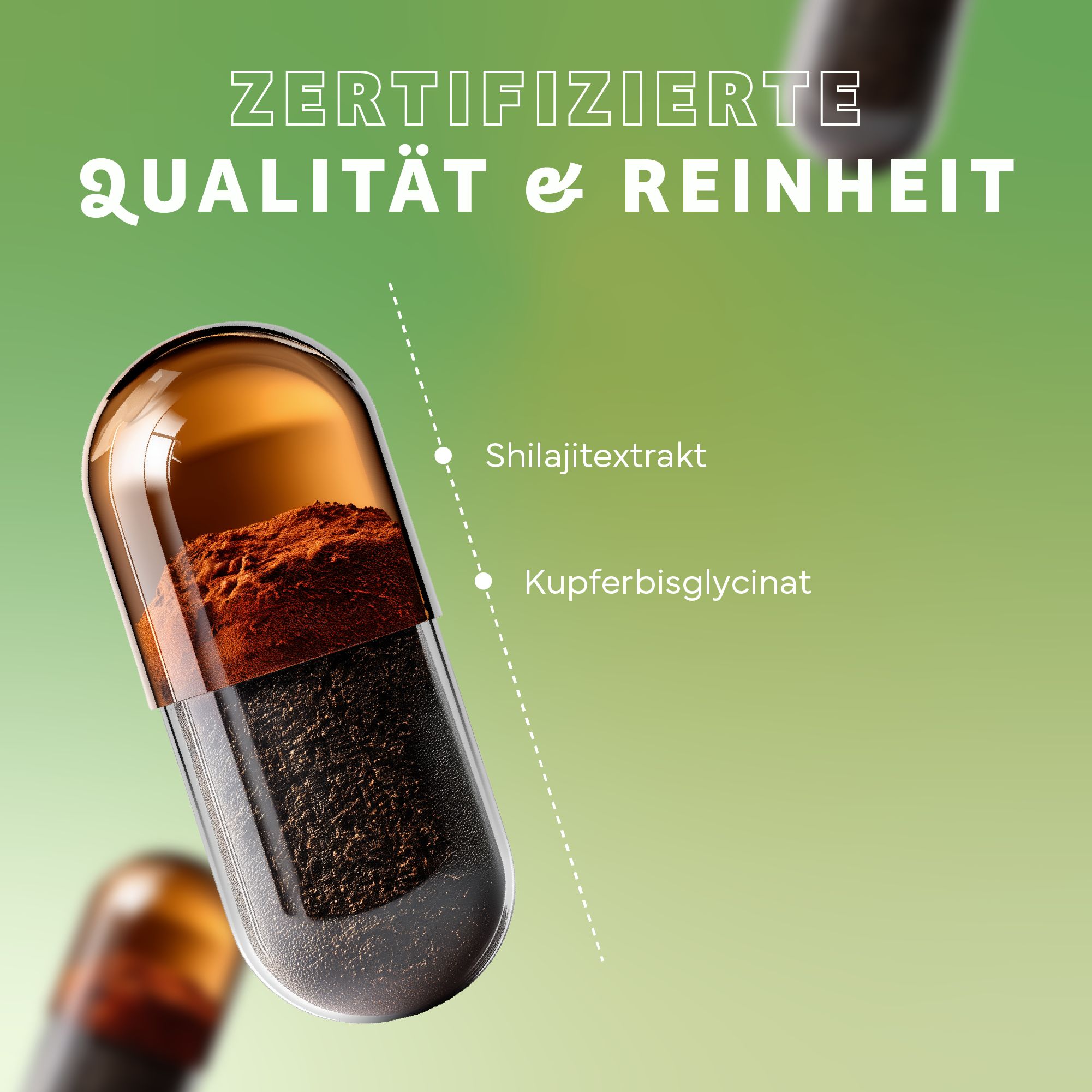 Nahaufnahme einer Kapsel mit Shilajit-Extrakt und Kupferbisglycinat. Grüner Hintergrund mit Text: Zertifizierte Qualität & Reinheit.