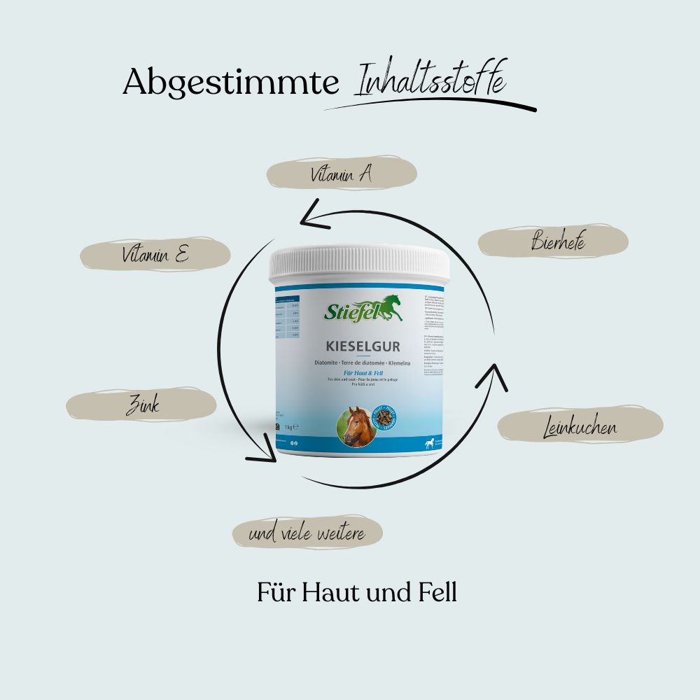 Weißes Produktgebinde mit grünem Logo und Schriftzug Kieselgur. Pfeile zeigen auf Inhaltsstoffe. Text: Für Haut und Fell.